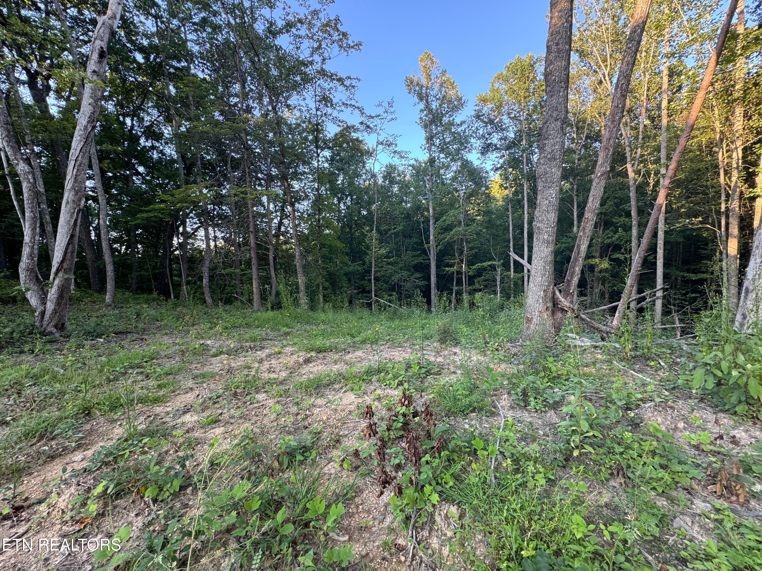 493F3102-209D-4A22-9A29-2305730D9850 - 150 Timber Oaks Lane, Pioneer, TN 37847, Pioneer