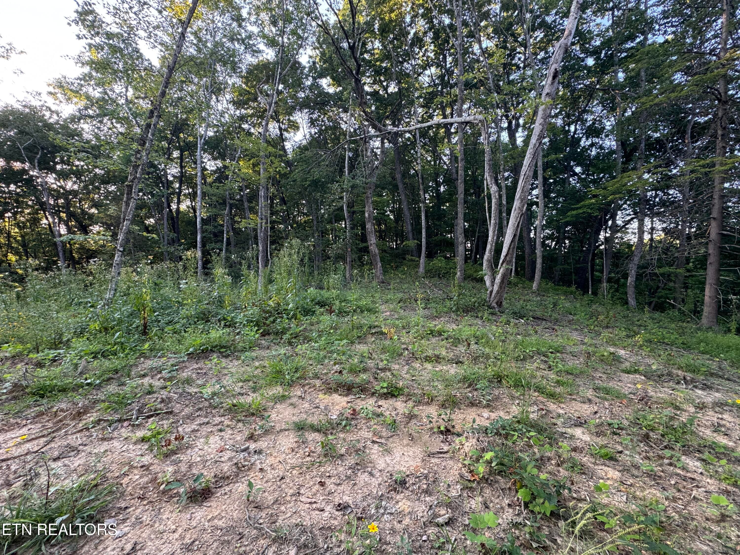 0DD03DCE-793E-44E5-A0BF-FAFF5E08196B - 150 Timber Oaks Lane, Pioneer, TN 37847, Pioneer
