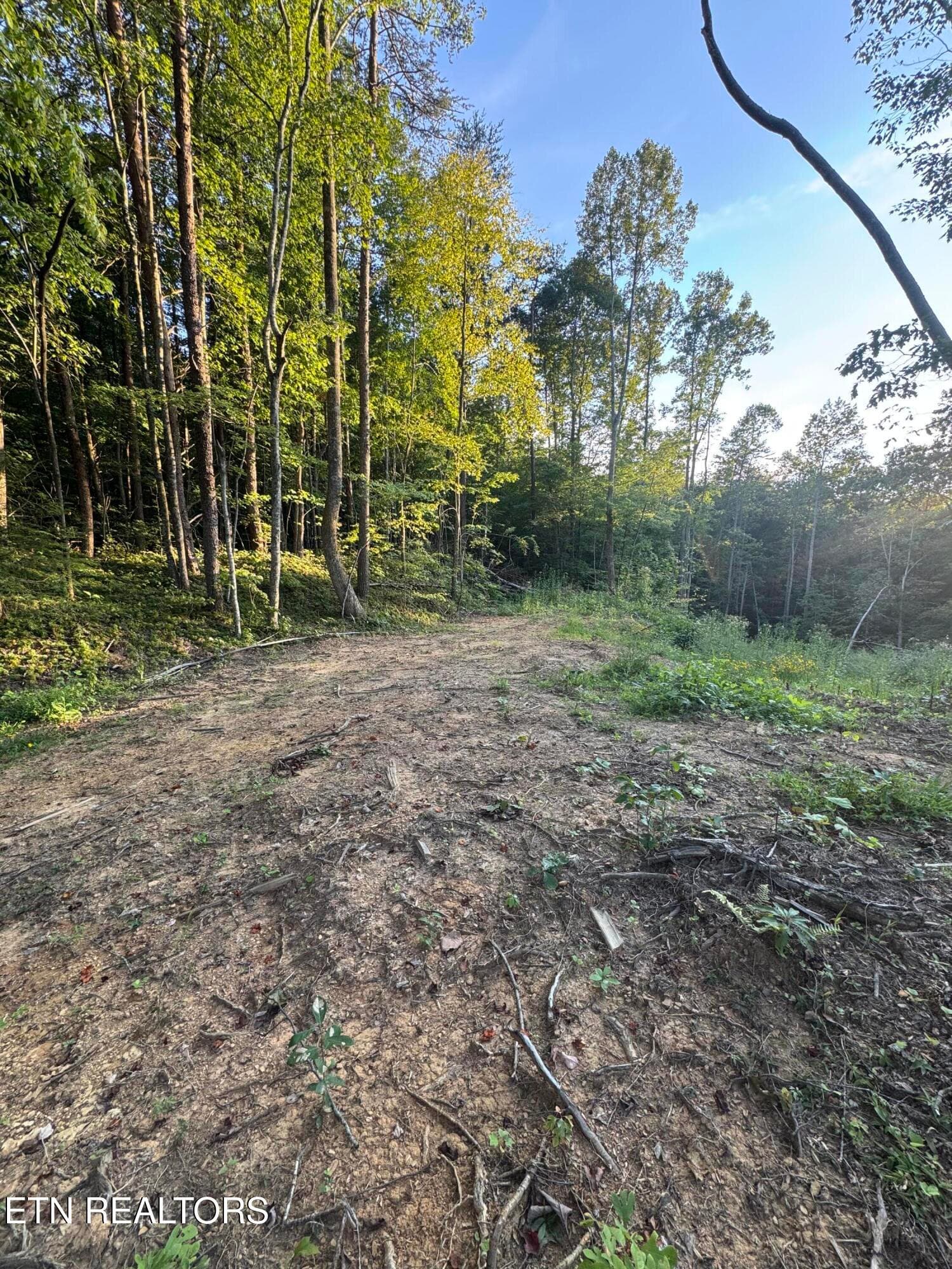 24982D77-5A1B-407A-8AFD-2699A9CDEACD - 150 Timber Oaks Lane, Pioneer, TN 37847, Pioneer