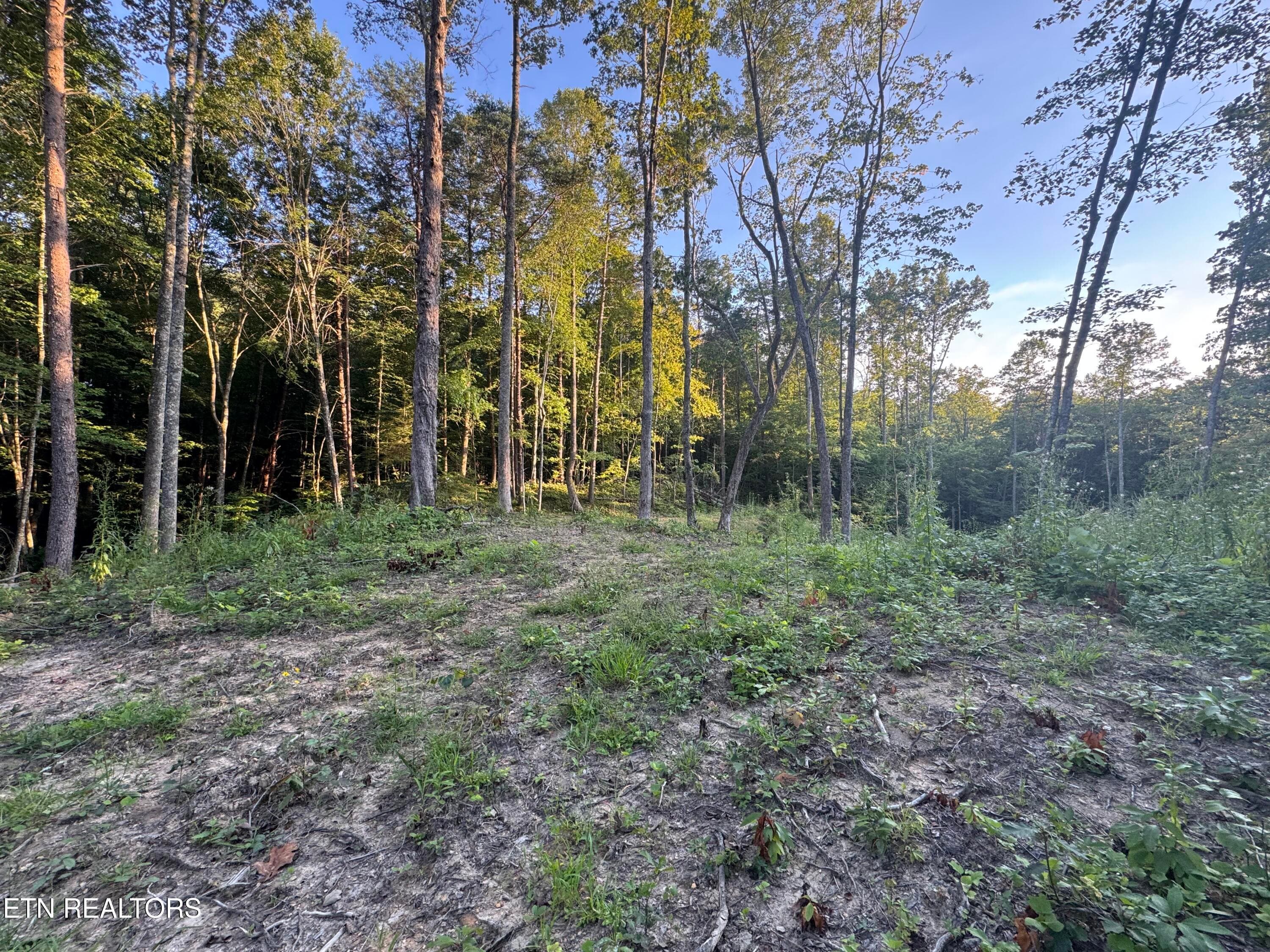 27D61E6B-7662-46BF-9B4D-05186F6FABC0 - 150 Timber Oaks Lane, Pioneer, TN 37847, Pioneer