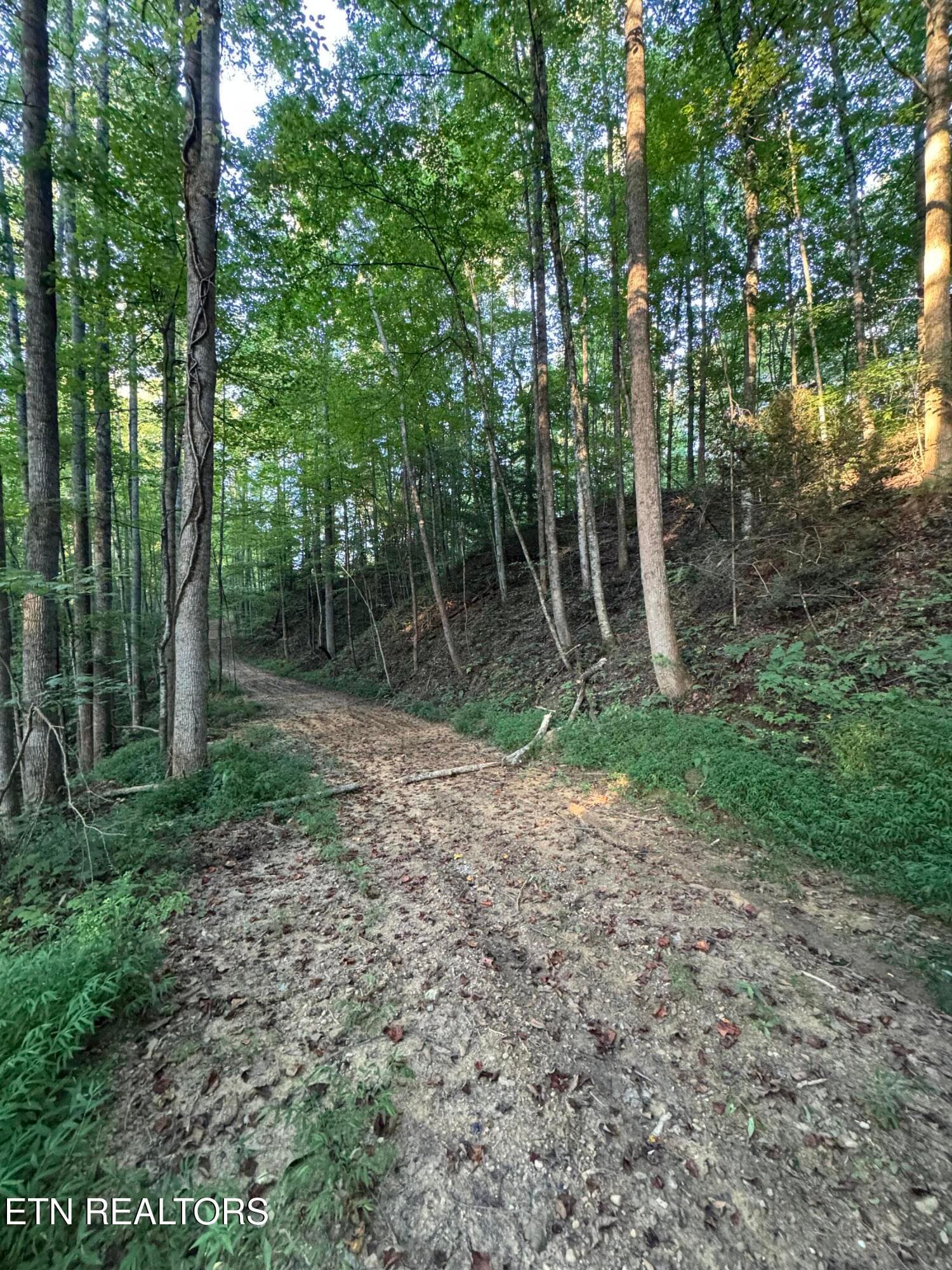 096222FF-ACD4-4357-BCB9-4E14814F8324 - 150 Timber Oaks Lane, Pioneer, TN 37847, Pioneer