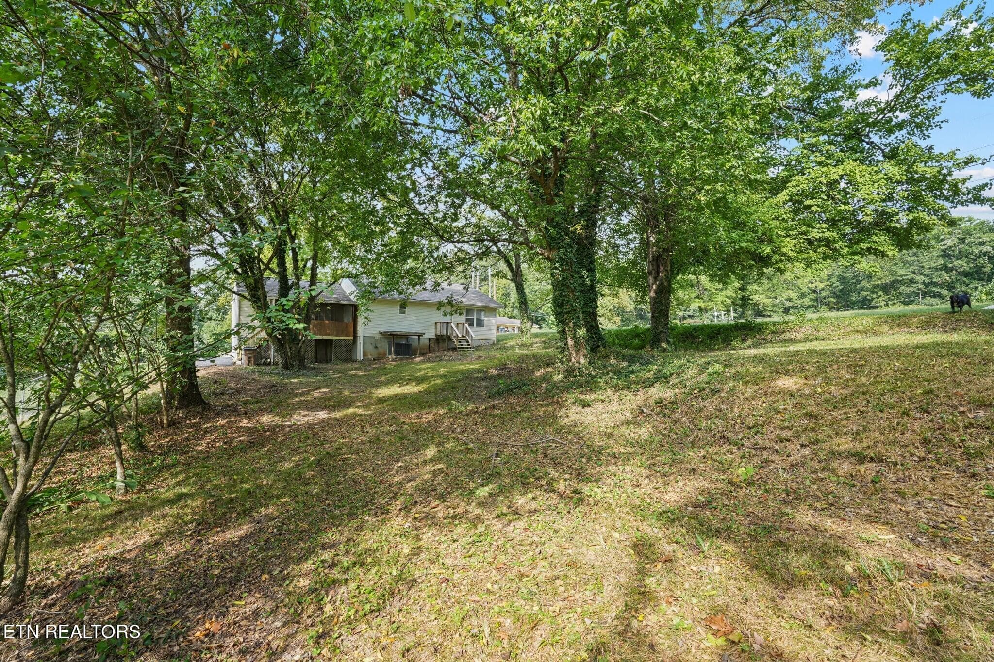 DSC03012(2) - 5828 NE Eldridge Rd, Knoxville, TN 37918, Knoxville