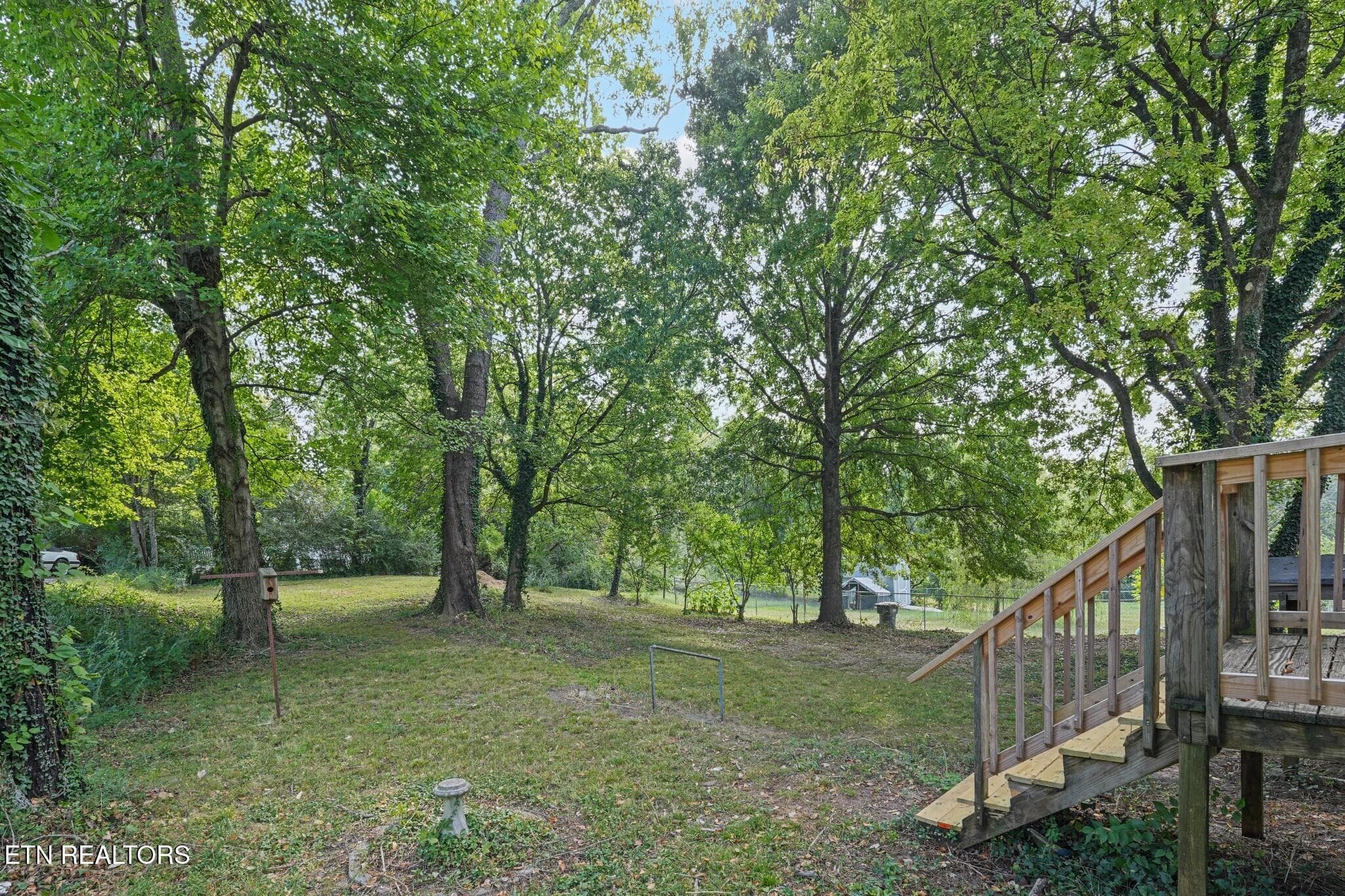 DSC03024(1) - 5828 NE Eldridge Rd, Knoxville, TN 37918, Knoxville