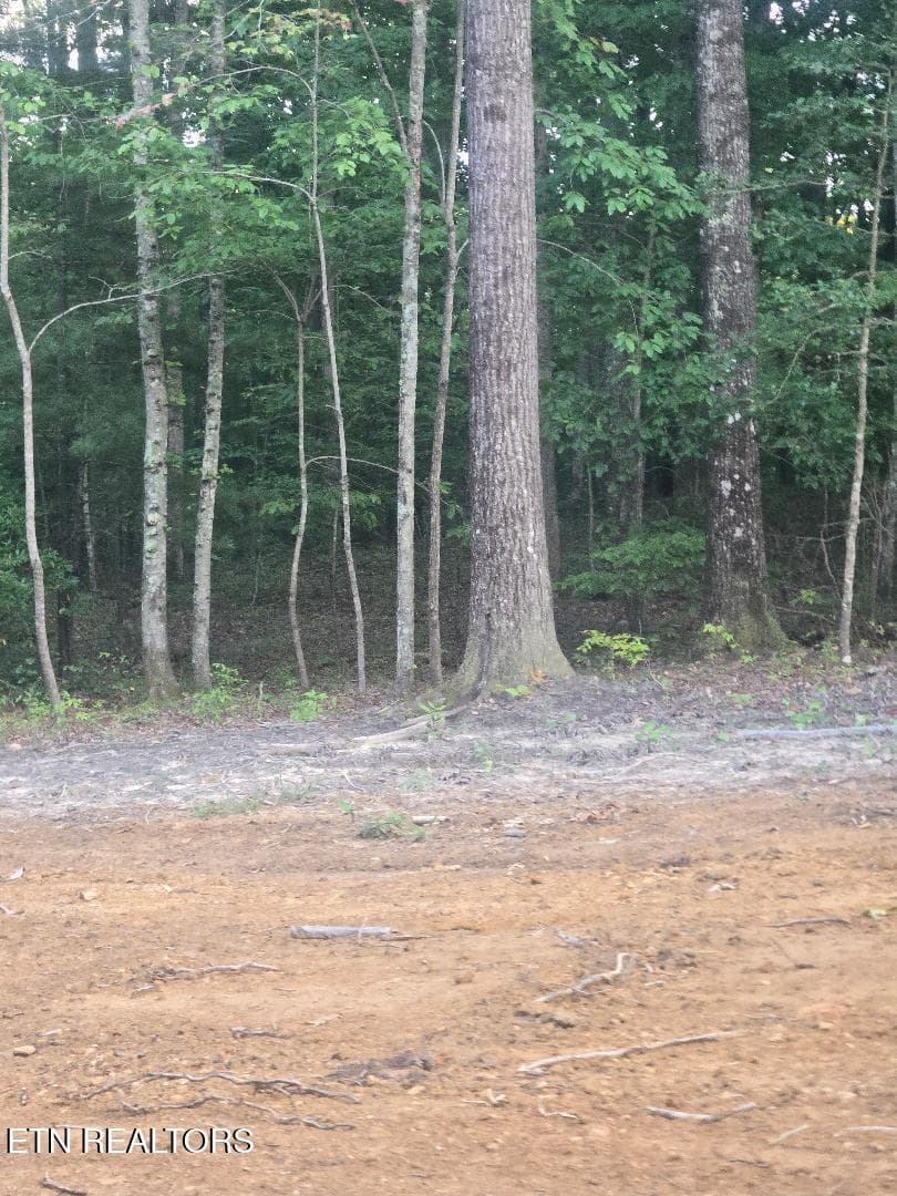 thumbnail (4) - Lot 4 Bk I Ravenwood Drive, Wartburg, TN 37887