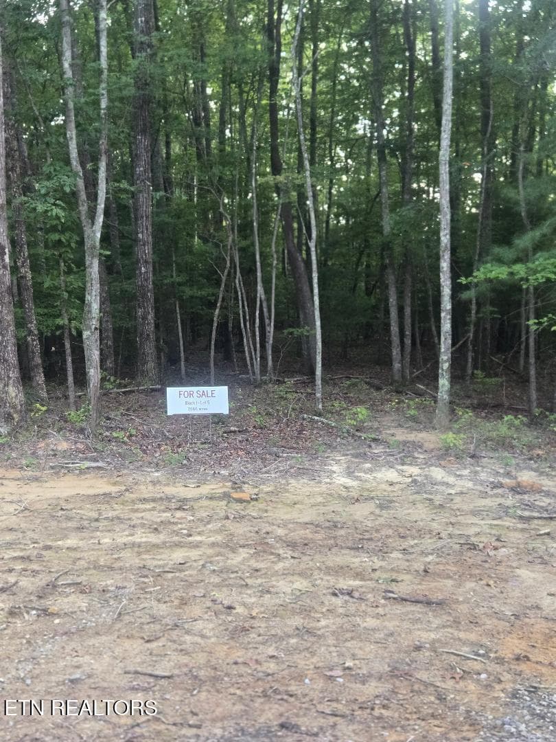Lot 5 Bk I Ravenwood Drive, Wartburg, TN 37887
