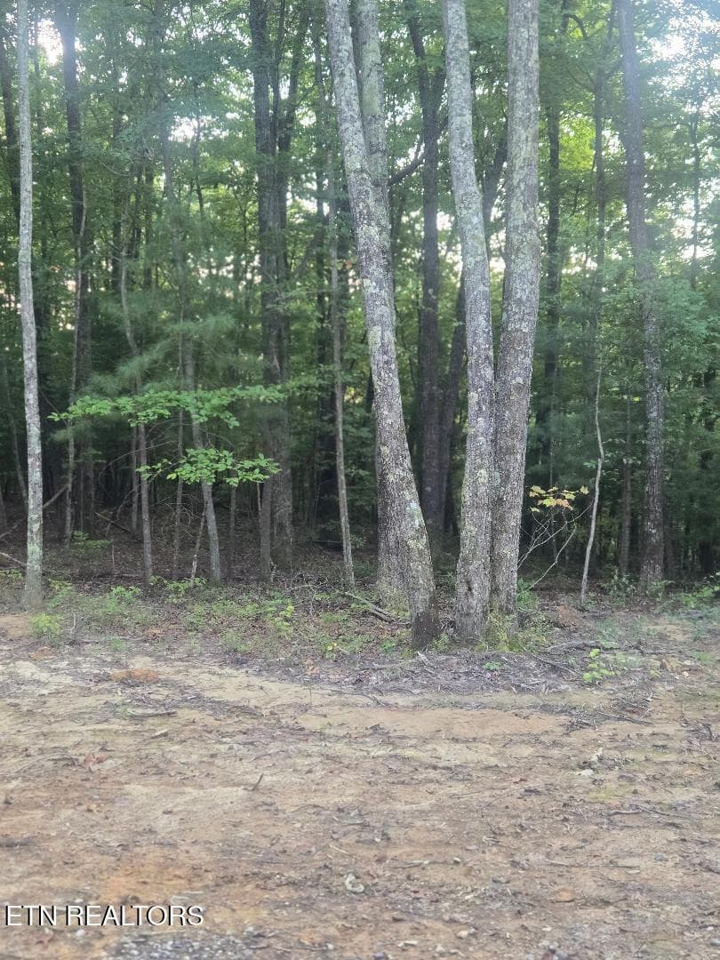 thumbnail (6) - Lot 5 Bk I Ravenwood Drive, Wartburg, TN 37887