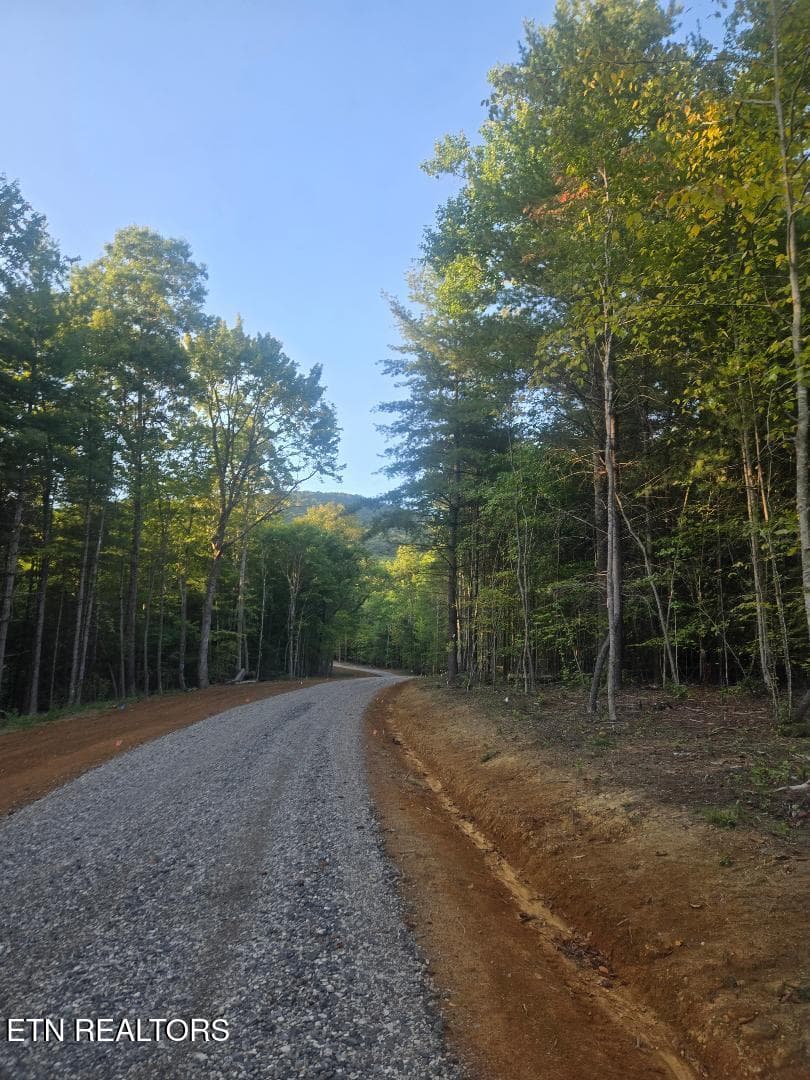 Lot 6 Bk I Ravenwood Drive, Wartburg, TN 37887