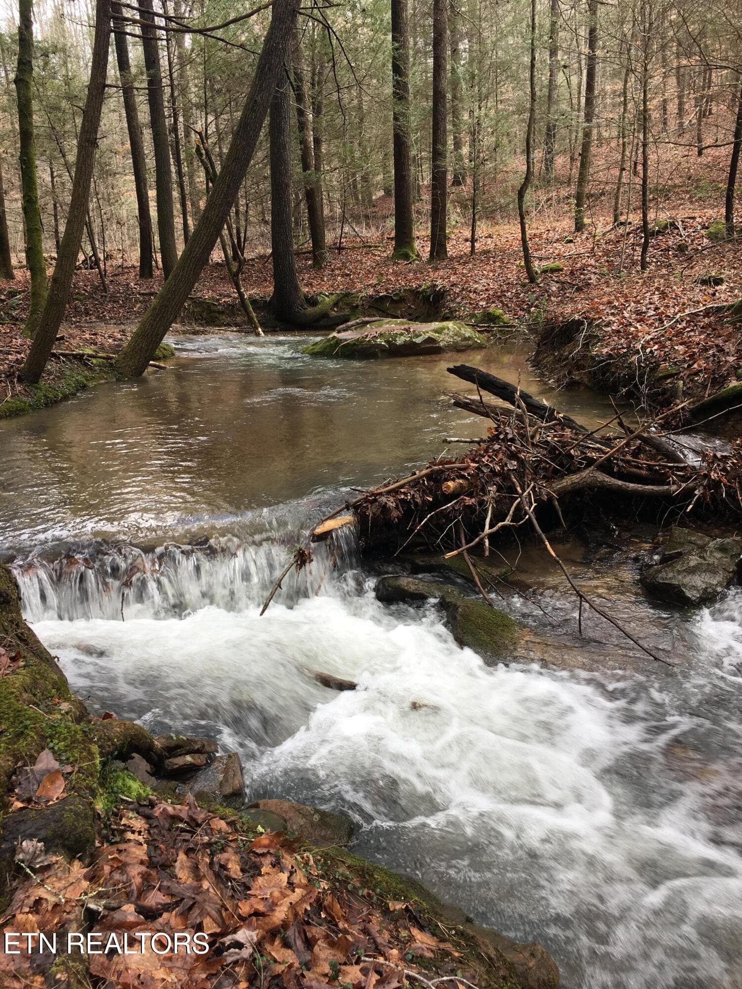 creek 4 - 755 Bear Branch Rd, Wartburg, TN 37887, Wartburg