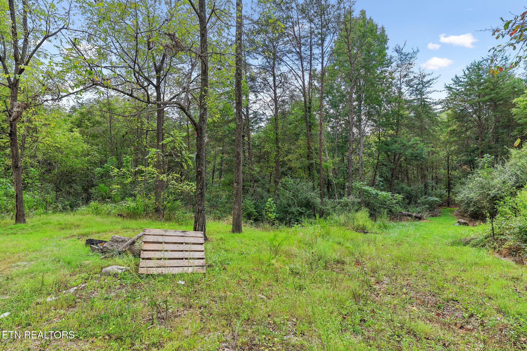 Sawmill Rd 3, Palmer, TN 37365