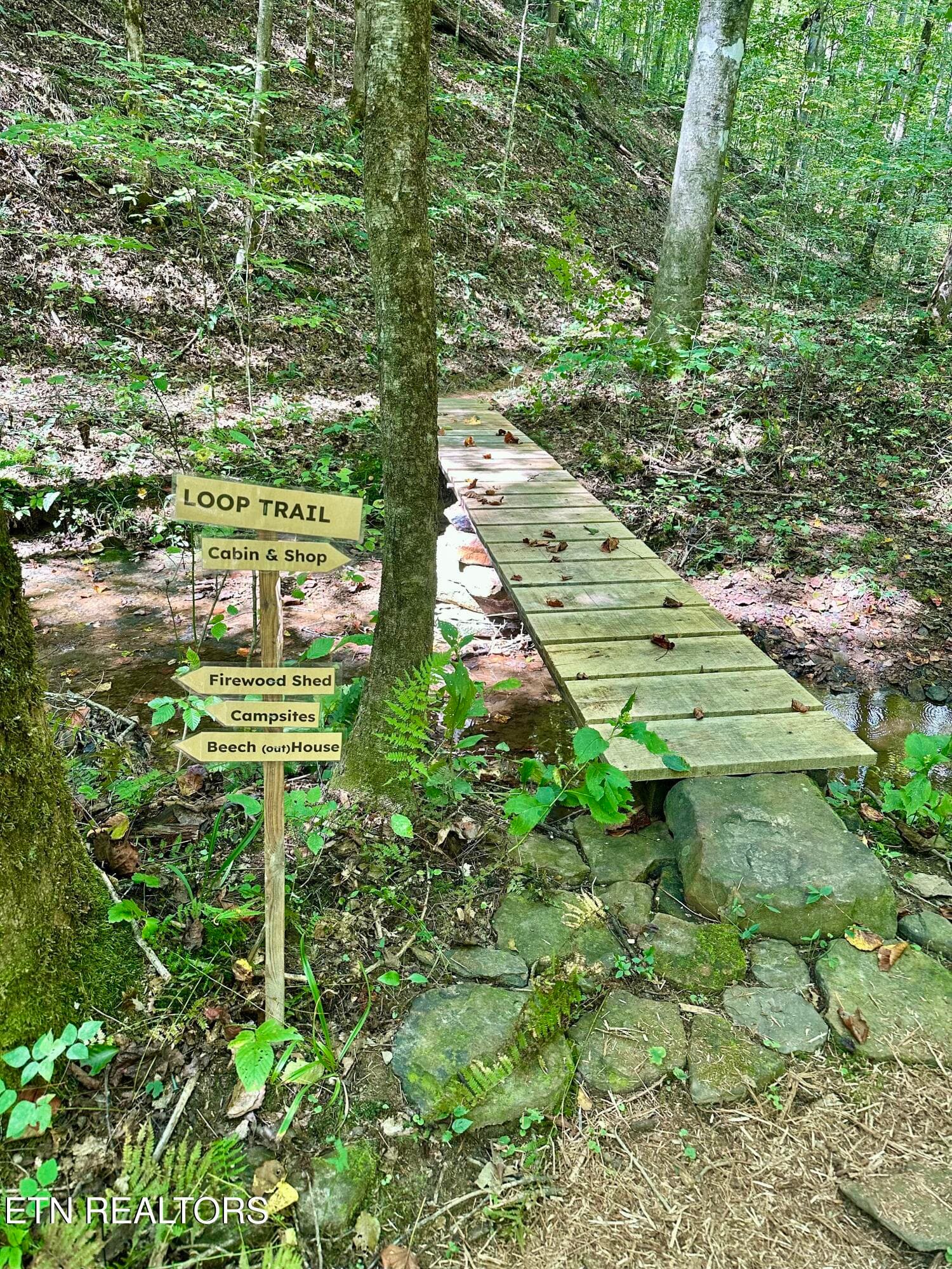 Loop Trail - 755 Bear Branch Rd, Wartburg, TN 37887, Wartburg