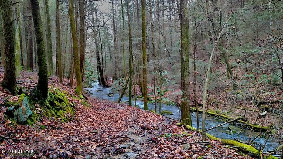 creek 1 - 755 Bear Branch Rd, Wartburg, TN 37887, Wartburg