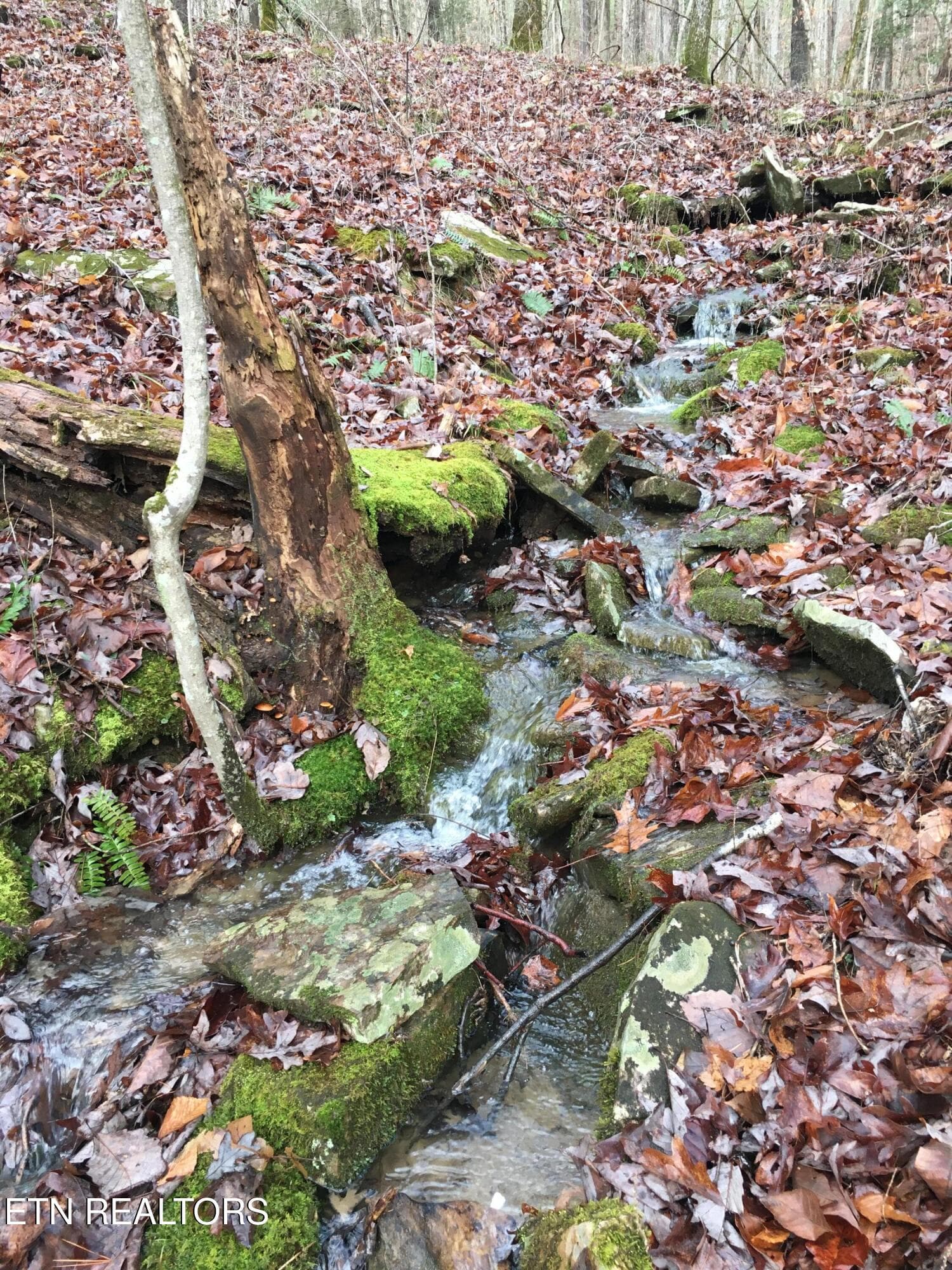 creek 7 - 755 Bear Branch Rd, Wartburg, TN 37887, Wartburg