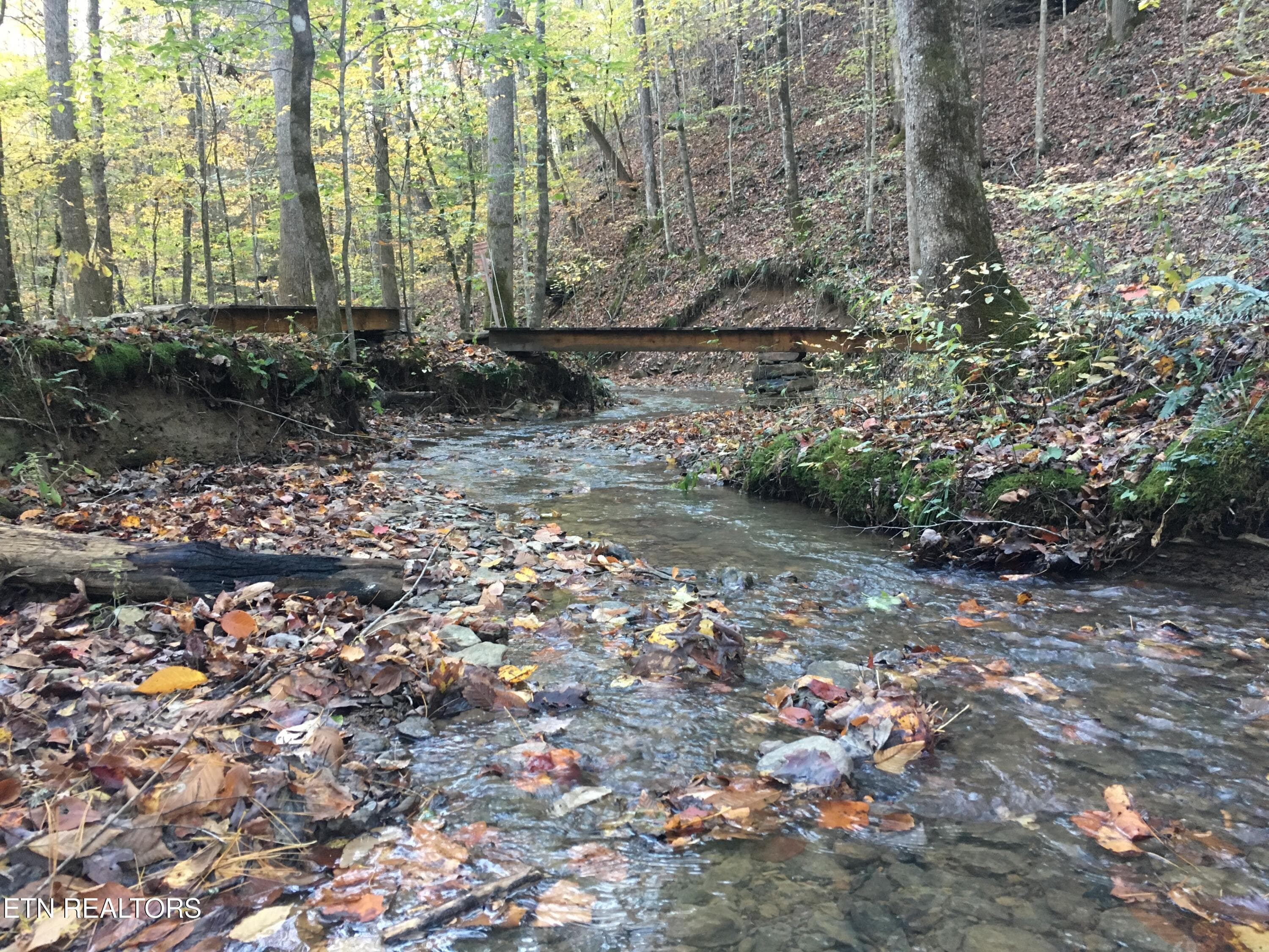 creek 6 - 755 Bear Branch Rd, Wartburg, TN 37887, Wartburg