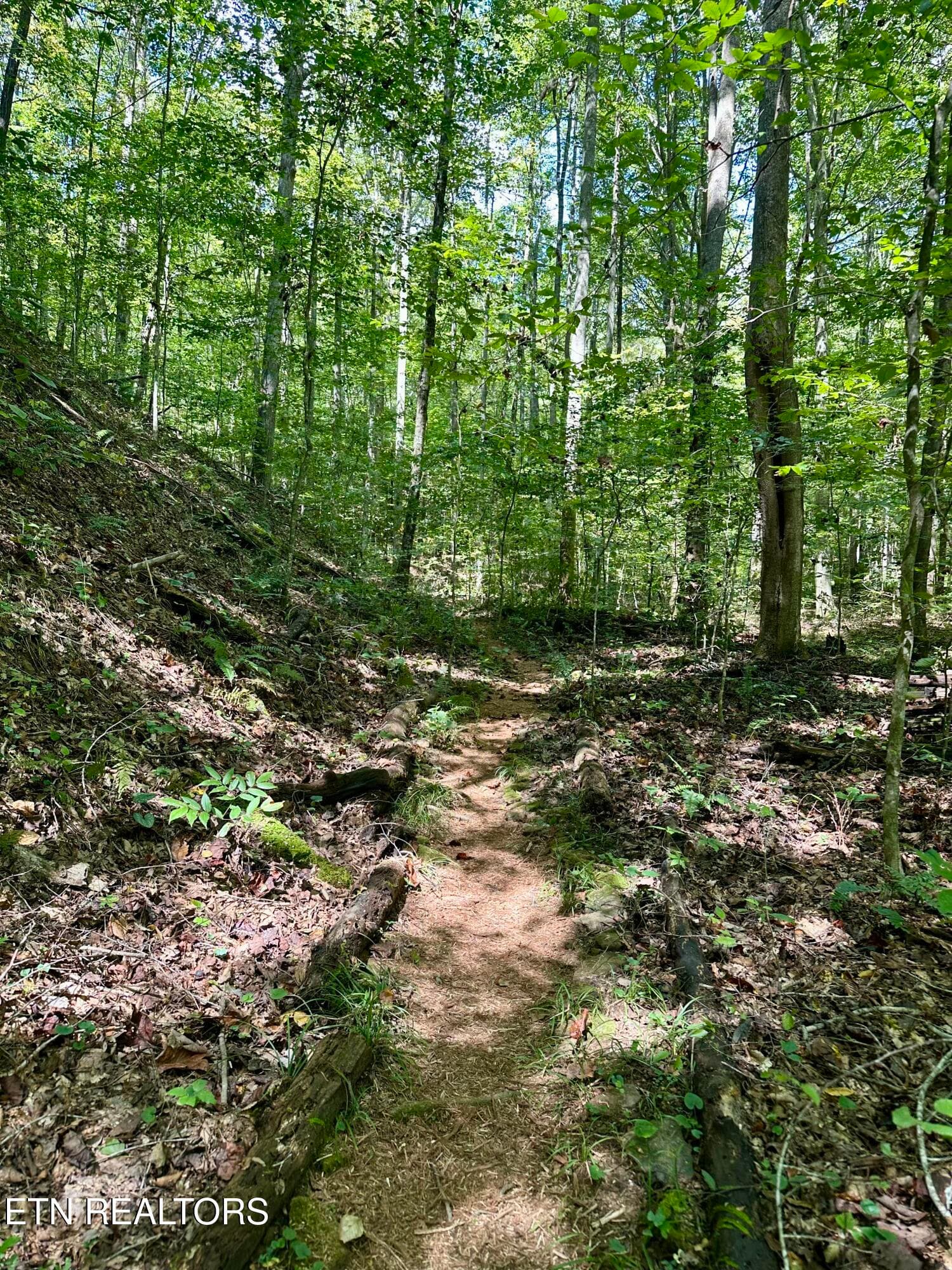 Trail 1 - 755 Bear Branch Rd, Wartburg, TN 37887, Wartburg