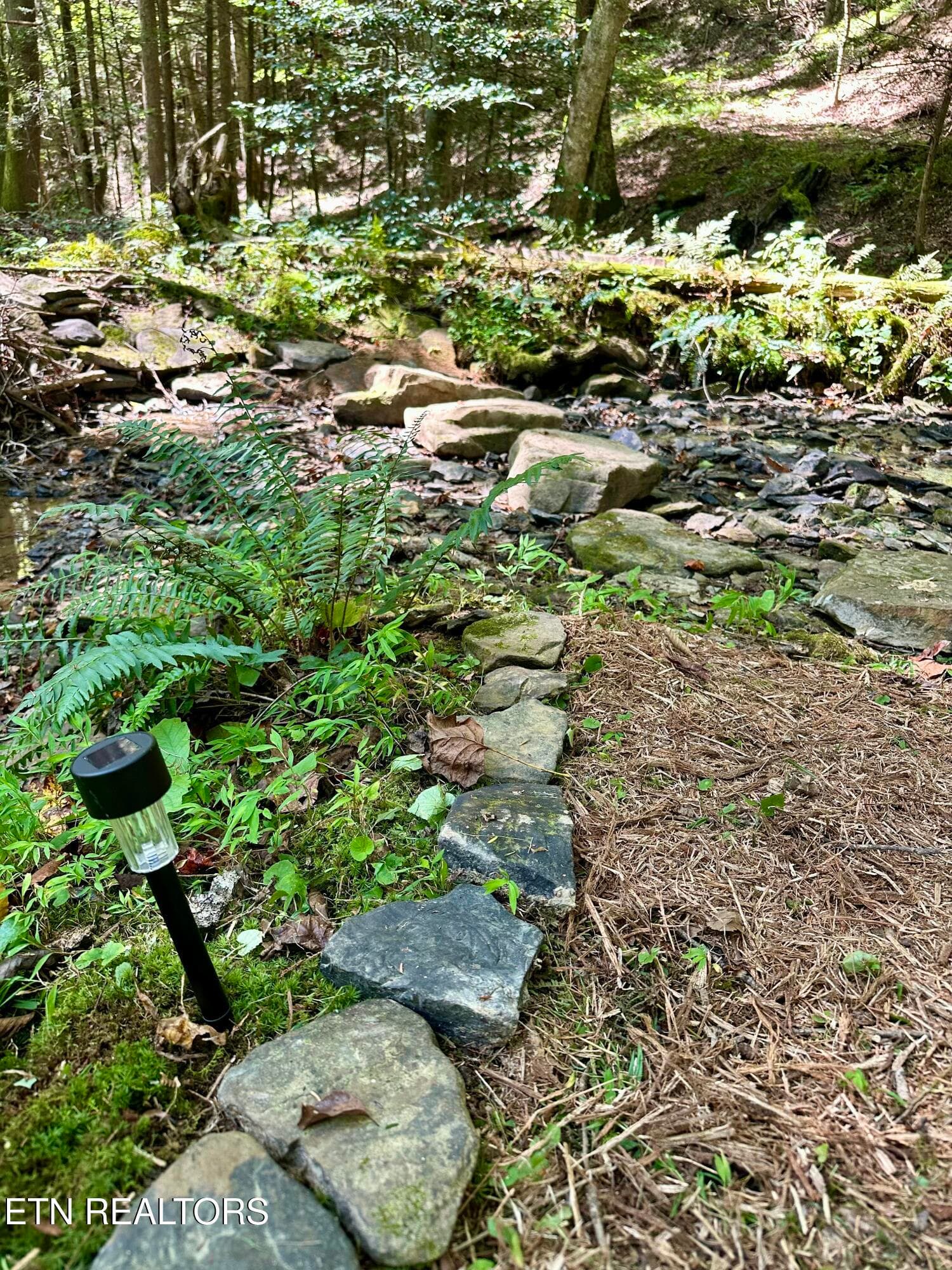Trail 5 - 755 Bear Branch Rd, Wartburg, TN 37887, Wartburg