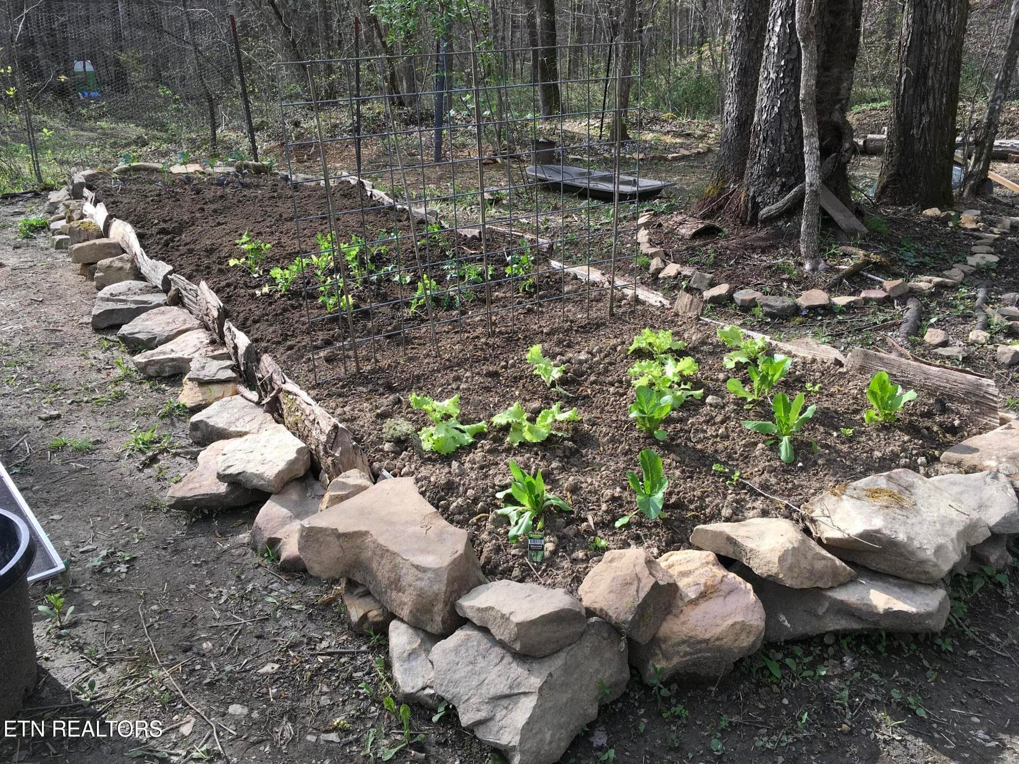 garden - 755 Bear Branch Rd, Wartburg, TN 37887, Wartburg