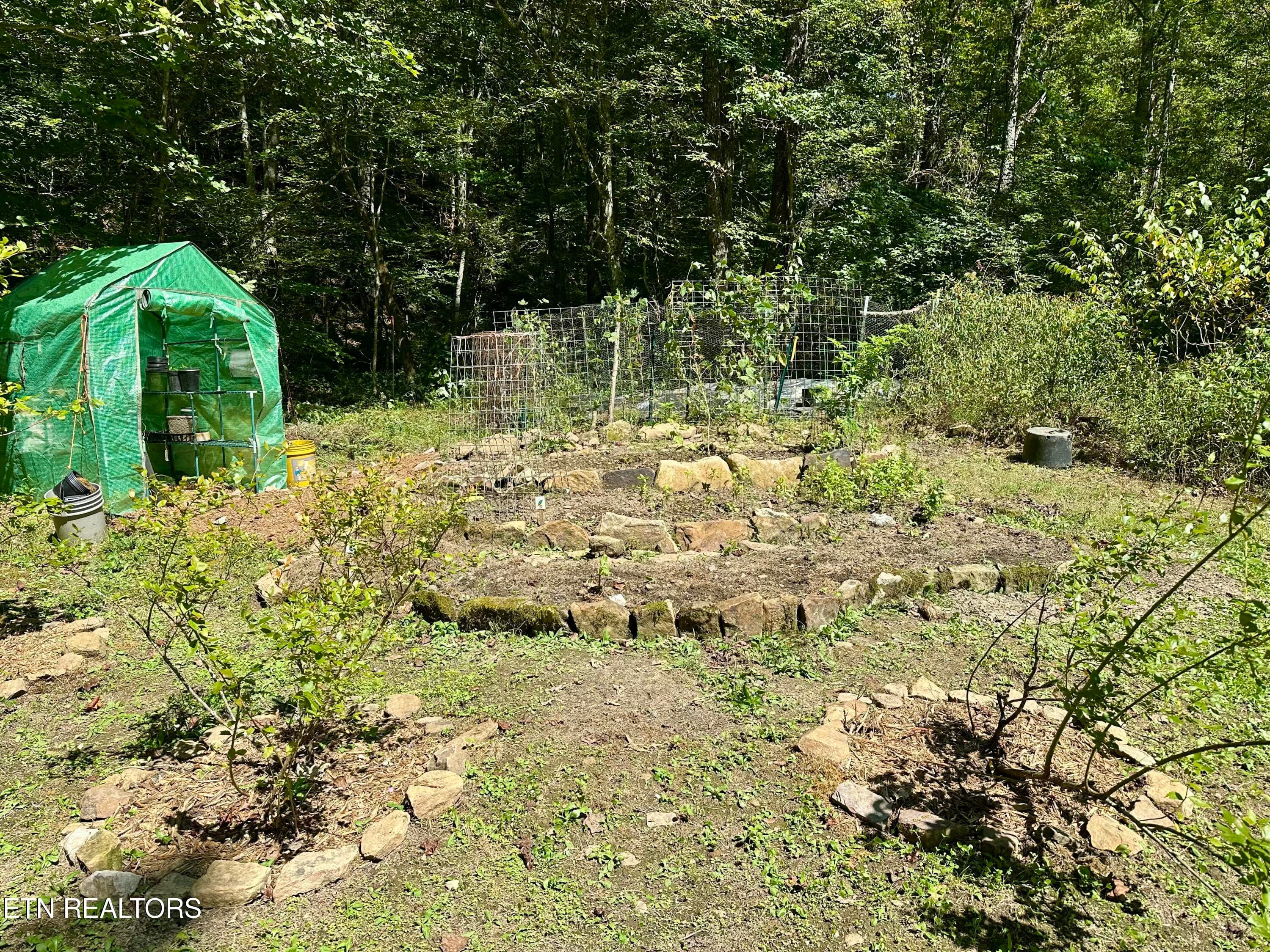 Garden - 755 Bear Branch Rd, Wartburg, TN 37887, Wartburg
