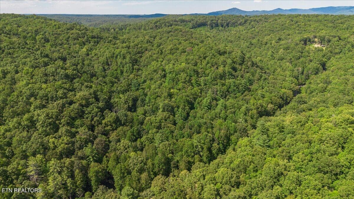 46-DJI_0401-HDR - 755 Bear Branch Rd, Wartburg, TN 37887, Wartburg