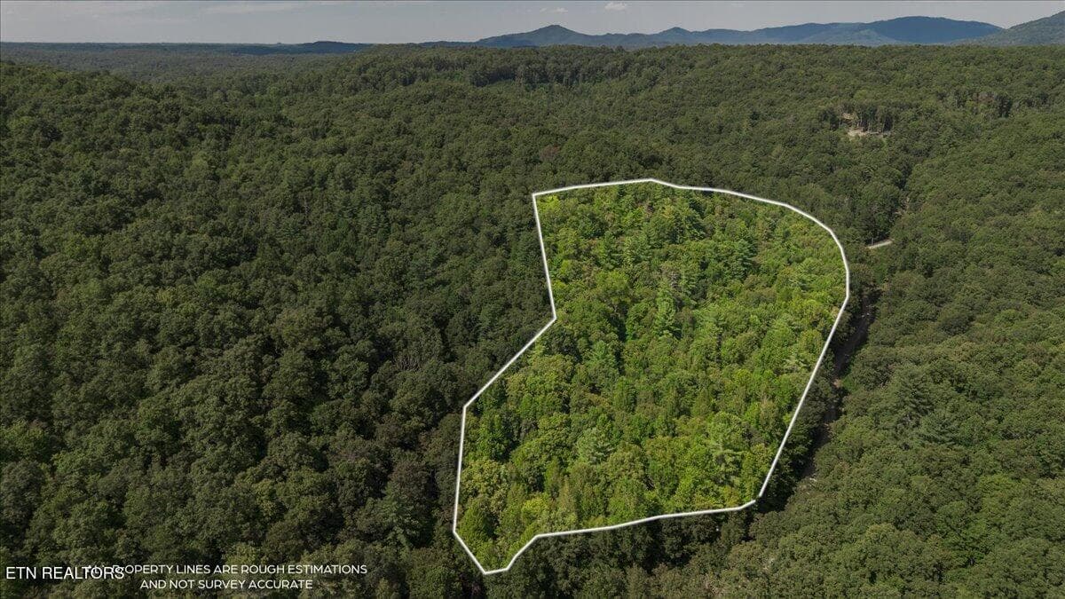 48-DJI_0407-HDR - 755 Bear Branch Rd, Wartburg, TN 37887, Wartburg