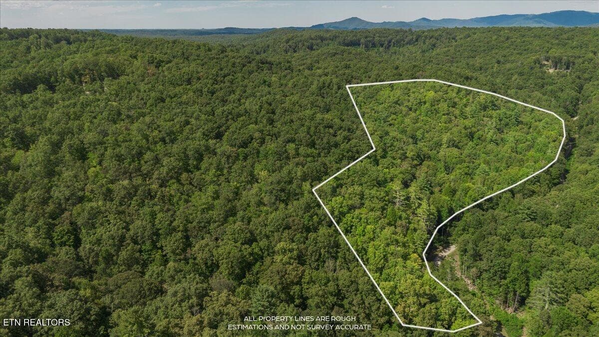 49-DJI_0410-HDR - 755 Bear Branch Rd, Wartburg, TN 37887, Wartburg