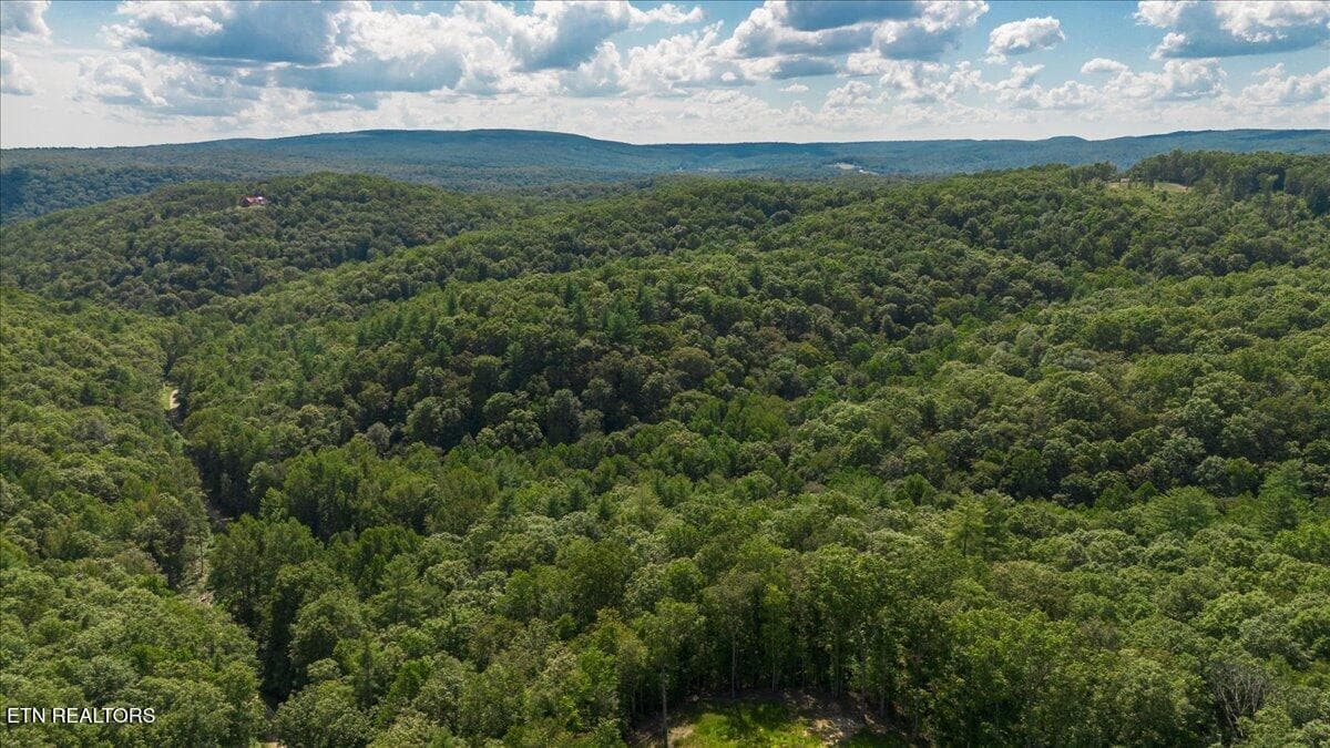 50-DJI_0419-HDR - 755 Bear Branch Rd, Wartburg, TN 37887, Wartburg