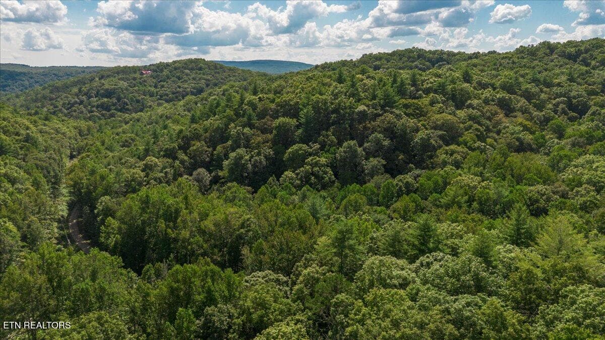 52-DJI_0428-HDR - 755 Bear Branch Rd, Wartburg, TN 37887, Wartburg