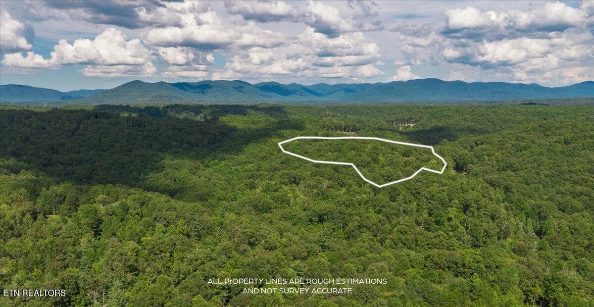 53-DJI_0440-HDR - 755 Bear Branch Rd, Wartburg, TN 37887, Wartburg