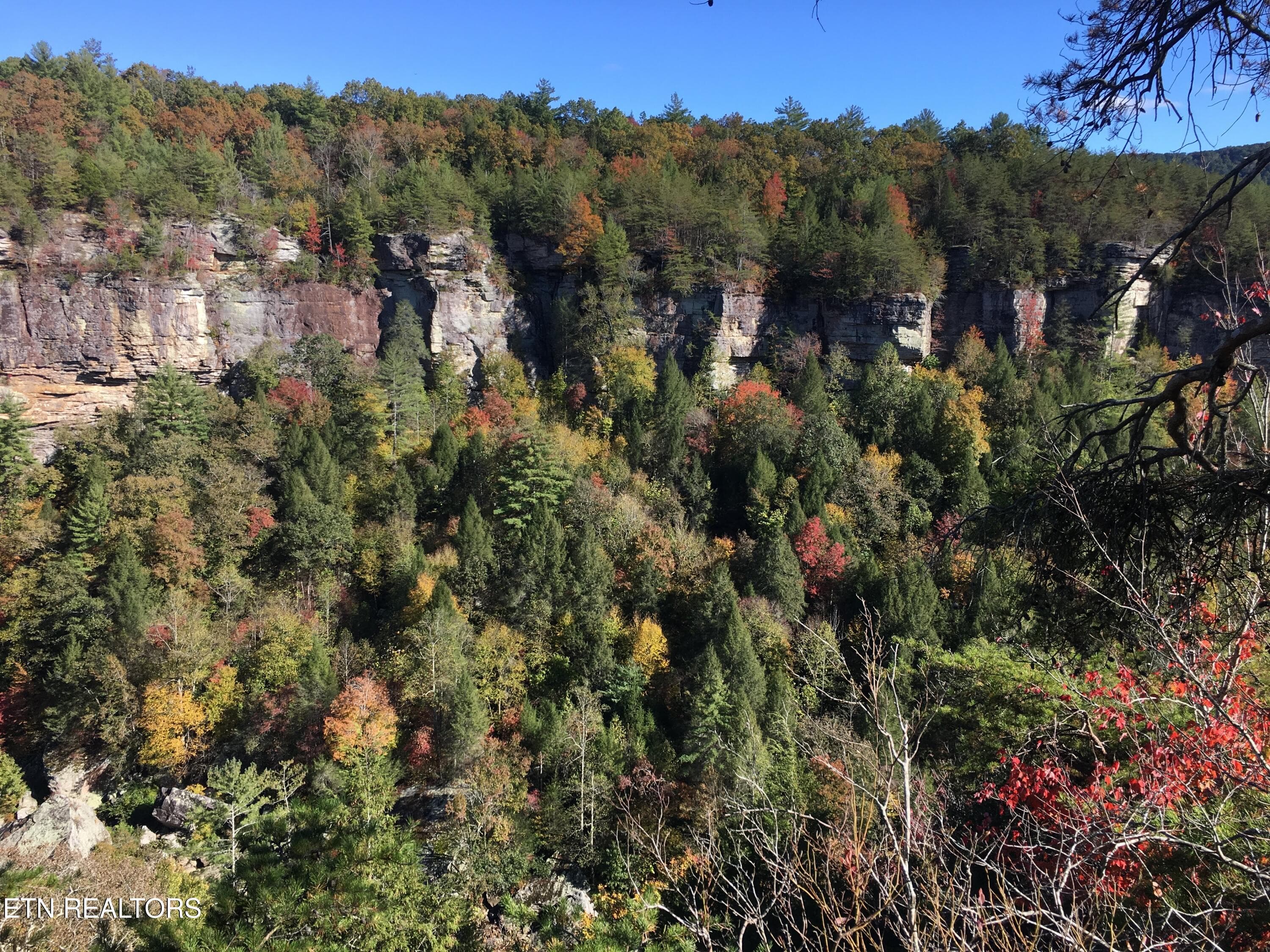 Obed River Gorge - 755 Bear Branch Rd, Wartburg, TN 37887, Wartburg