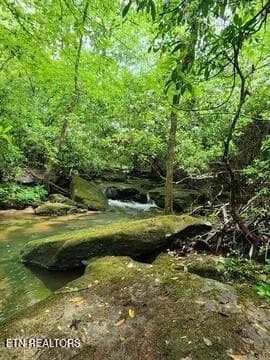 IMG_1899 9112 - 911 Spearhead Circle, Clarkrange, TN 38553