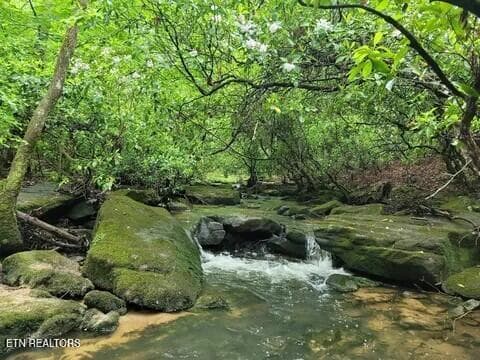 IMG_1898 911 - 911 Spearhead Circle, Clarkrange, TN 38553