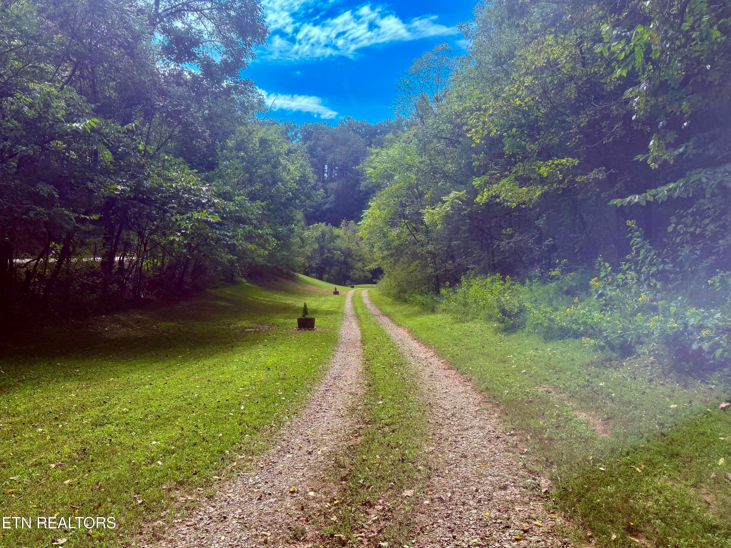 IMG_8849 - 2073 Oven Creek Rd, Parrottsville, TN 37843, Parrottsville
