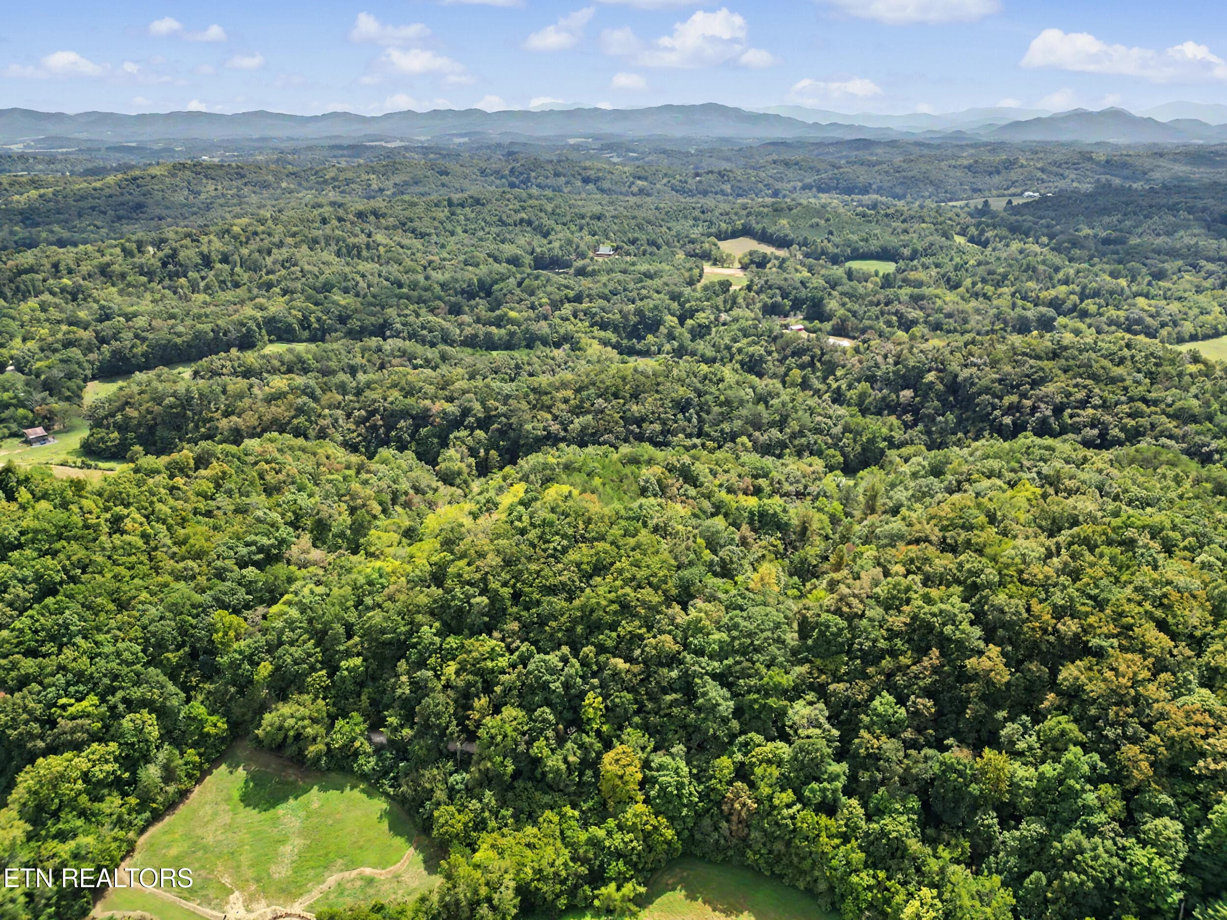 DJI_0070 (2) - 2073 Oven Creek Rd, Parrottsville, TN 37843, Parrottsville