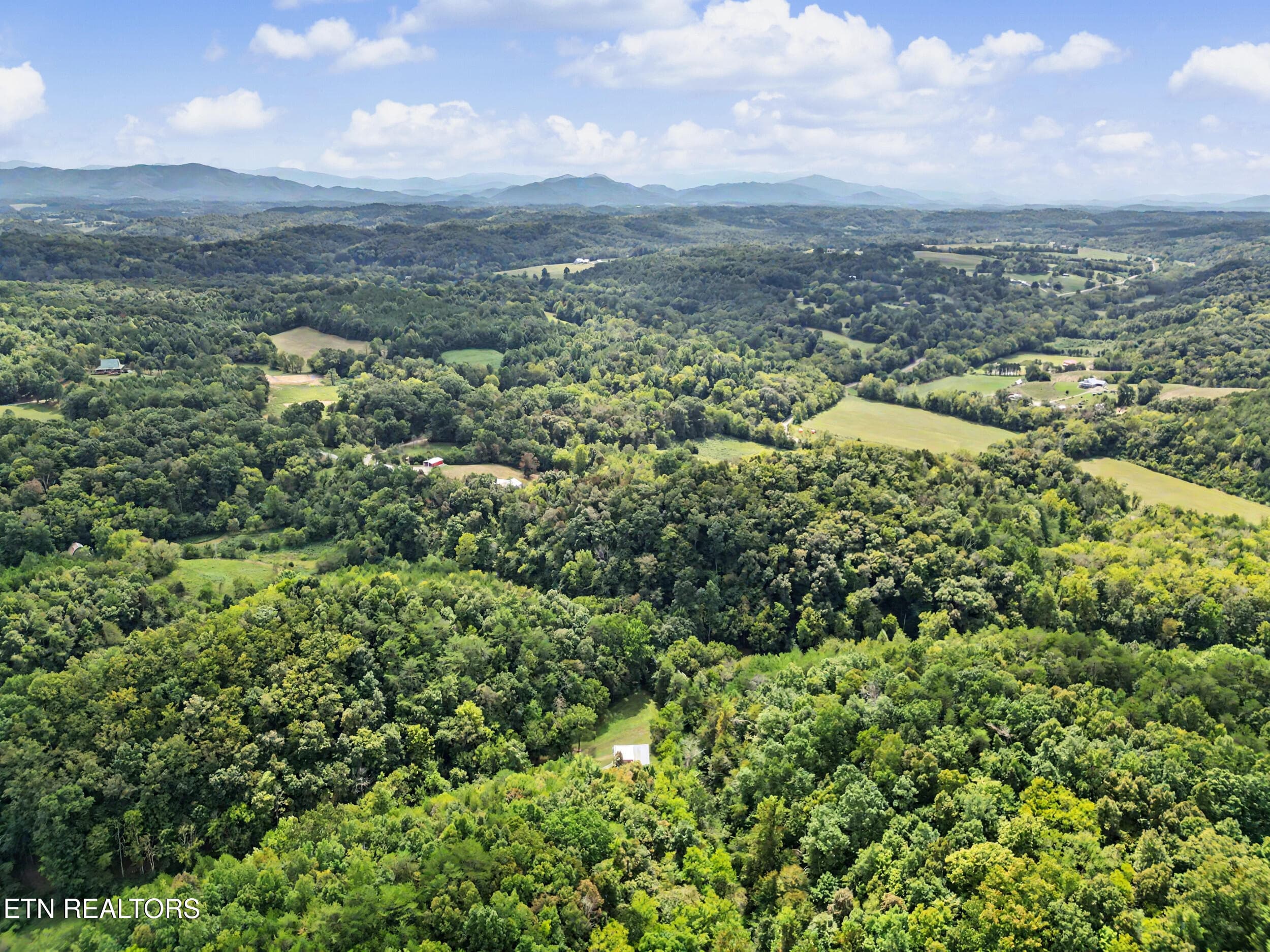 DJI_0090 - 2073 Oven Creek Rd, Parrottsville, TN 37843, Parrottsville