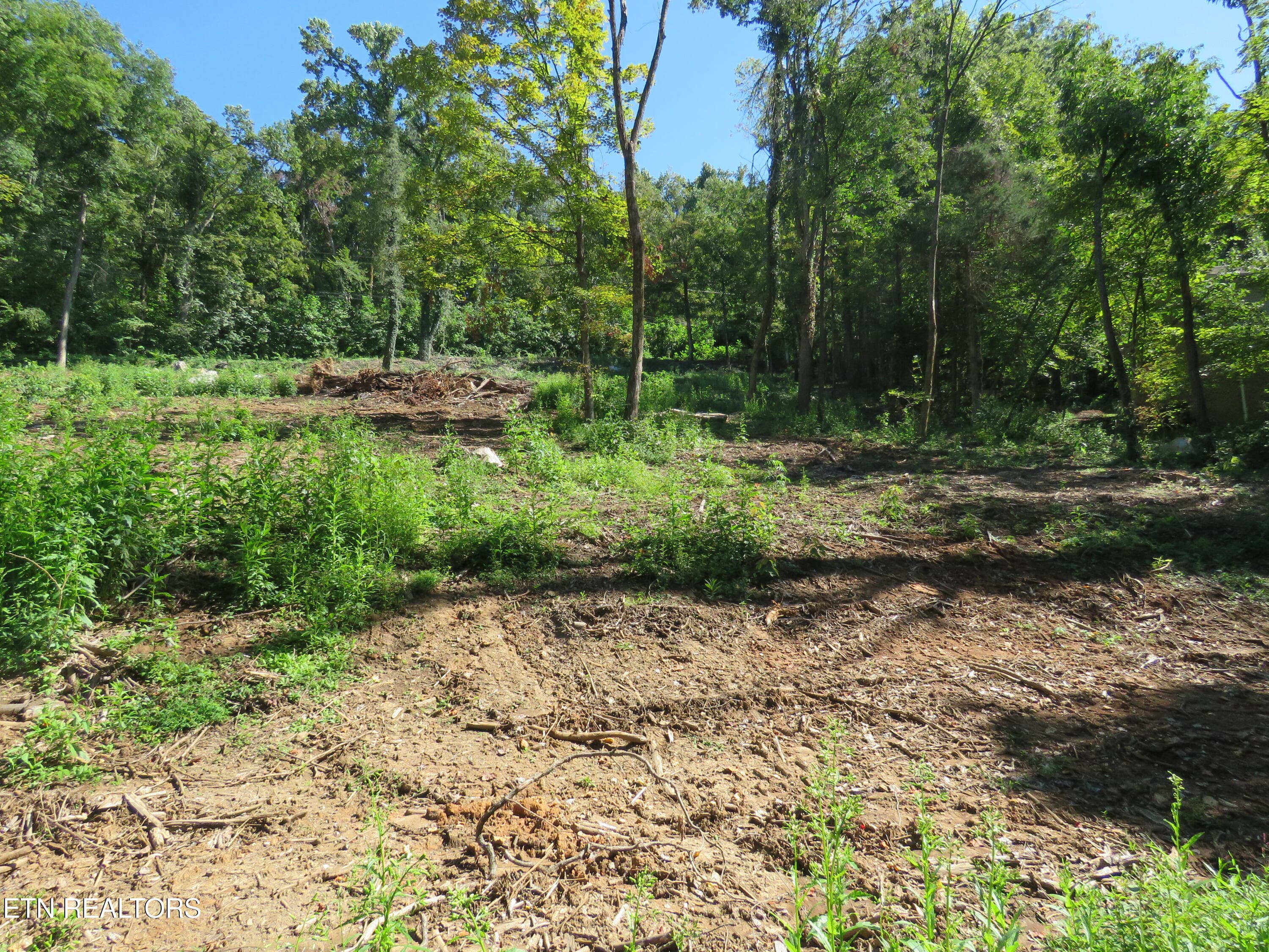 1 - 0 Watauga Rd, Cookeville, TN 38506, Cookeville