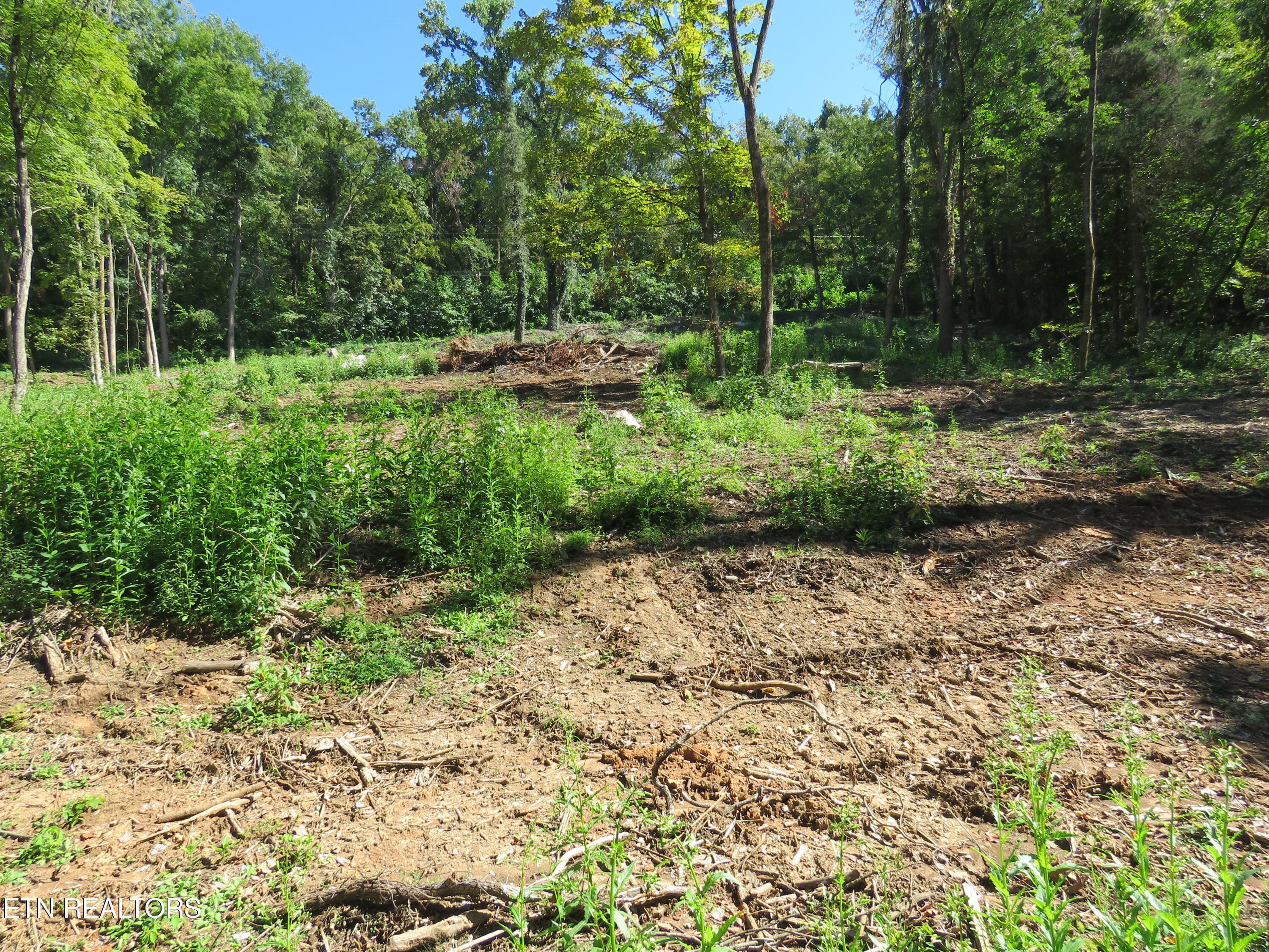 2 - 0 Watauga Rd, Cookeville, TN 38506, Cookeville