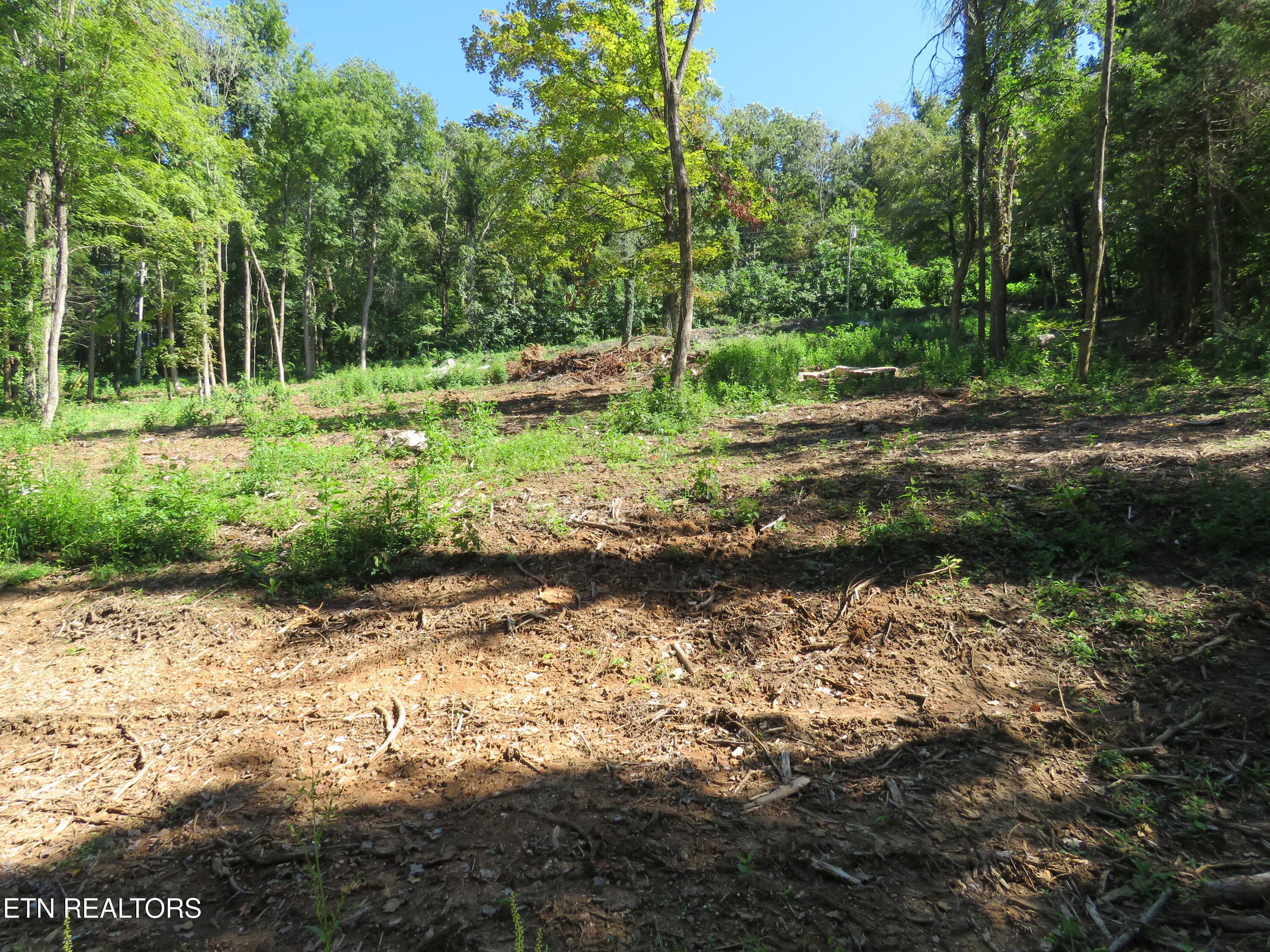 3 - 0 Watauga Rd, Cookeville, TN 38506, Cookeville
