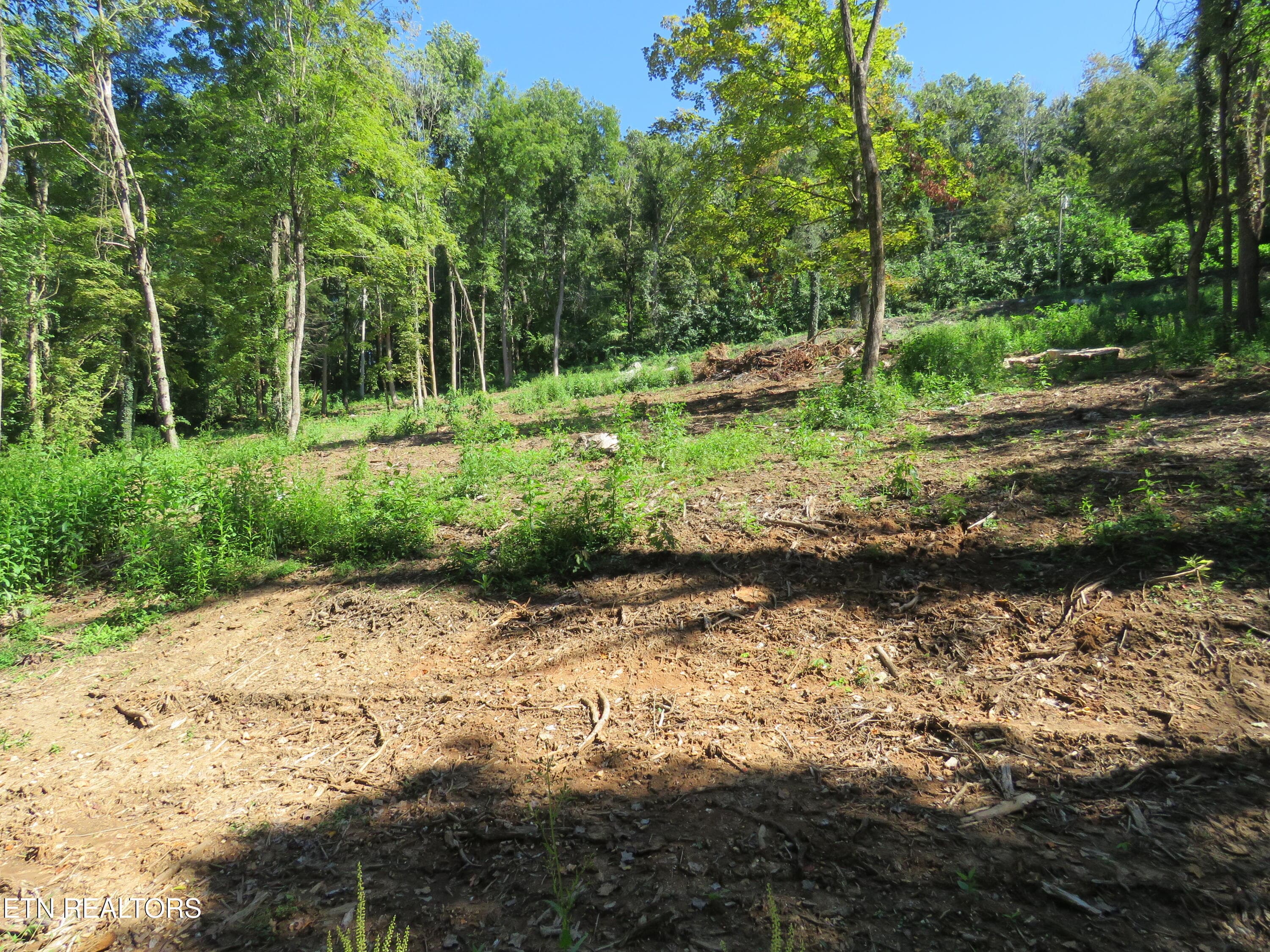 4 - 0 Watauga Rd, Cookeville, TN 38506, Cookeville