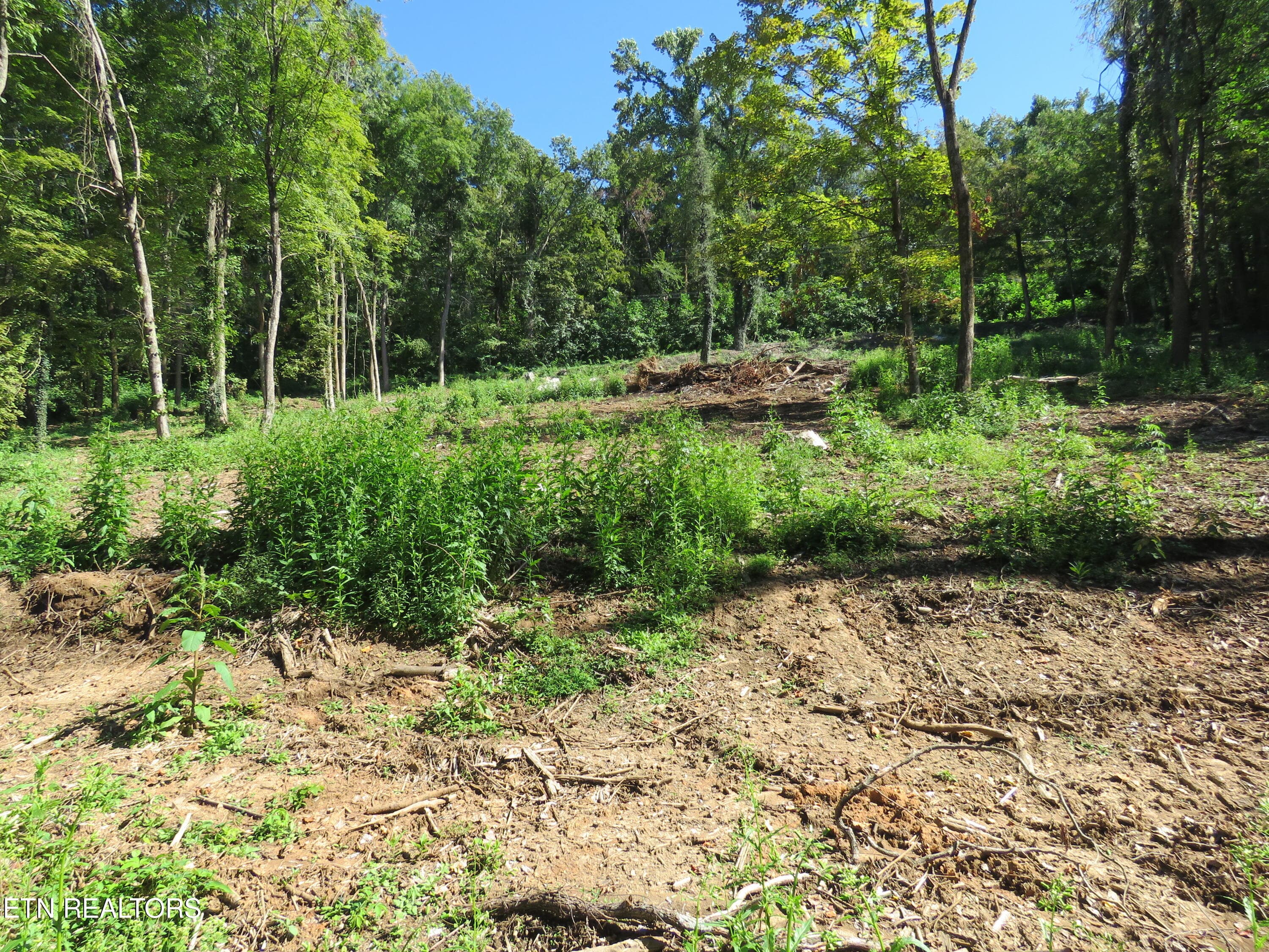 5 - 0 Watauga Rd, Cookeville, TN 38506, Cookeville