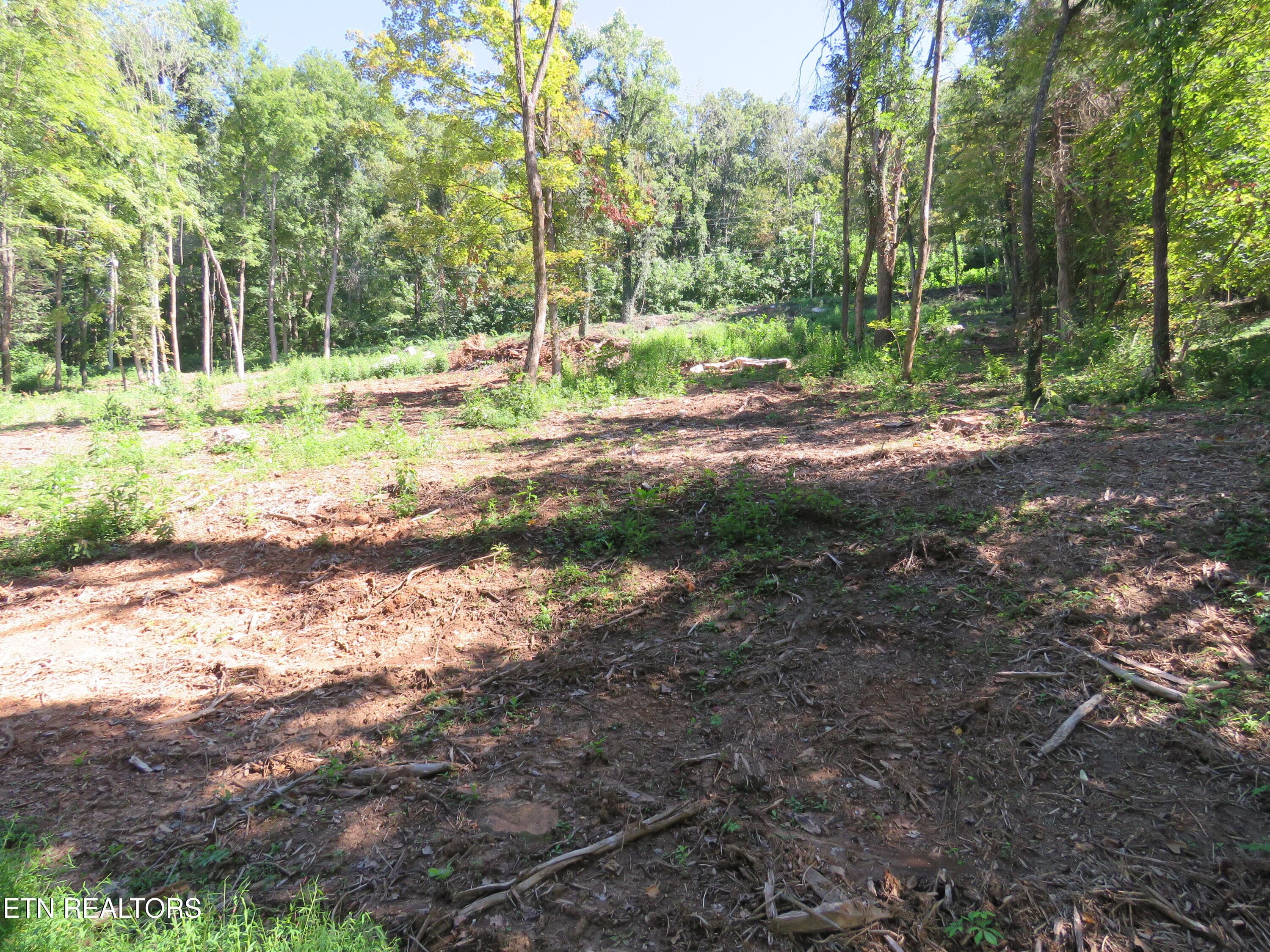 6 - 0 Watauga Rd, Cookeville, TN 38506, Cookeville