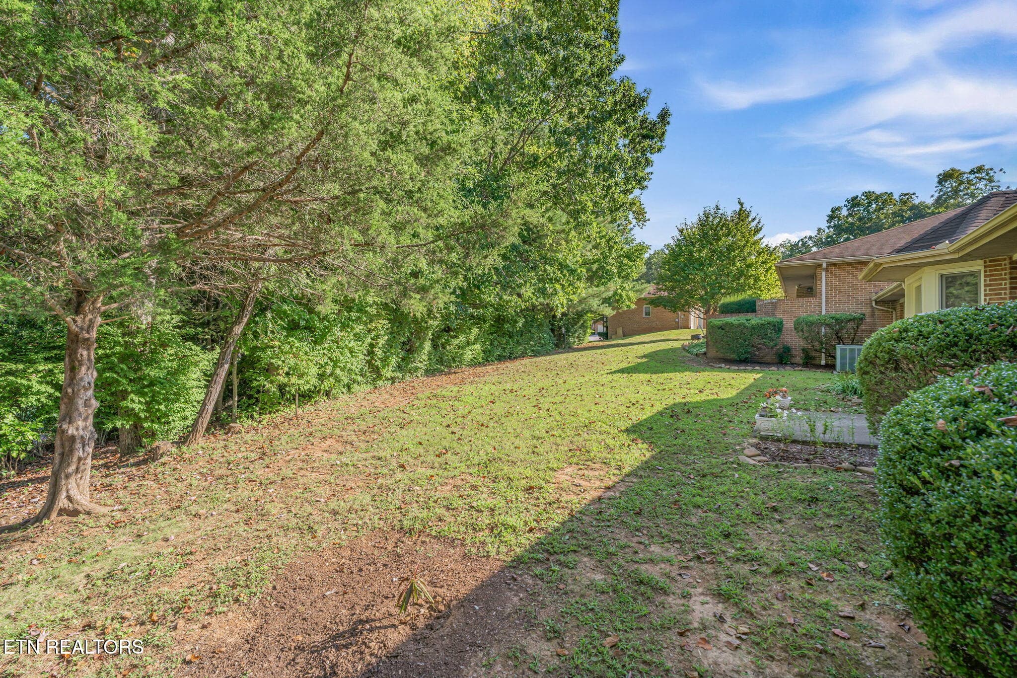 View from Backyard - 6924 Bridle Court, Knoxville, TN 37921, Knoxville