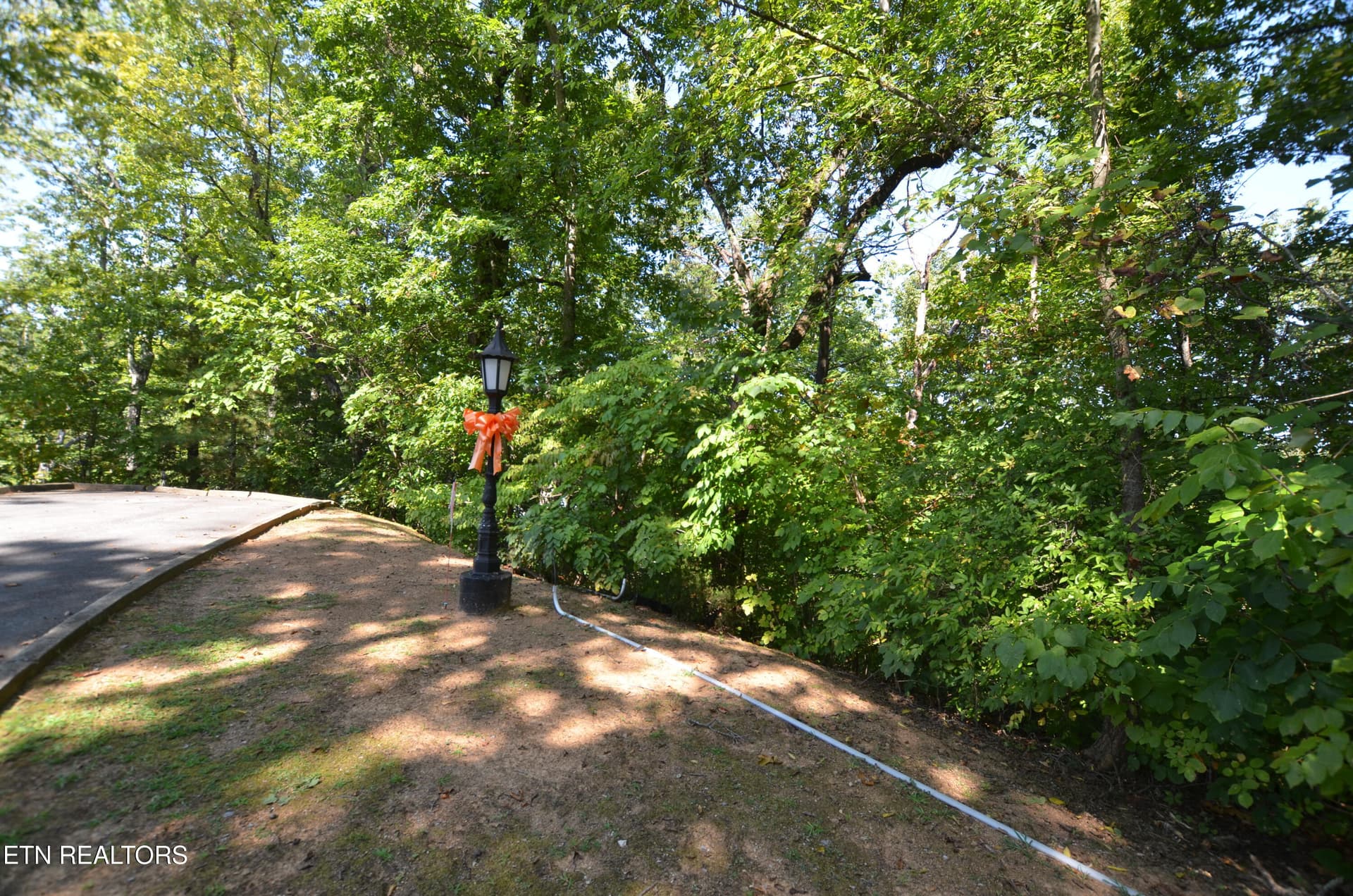 Hawks Nest Way, Sevierville, TN 37862