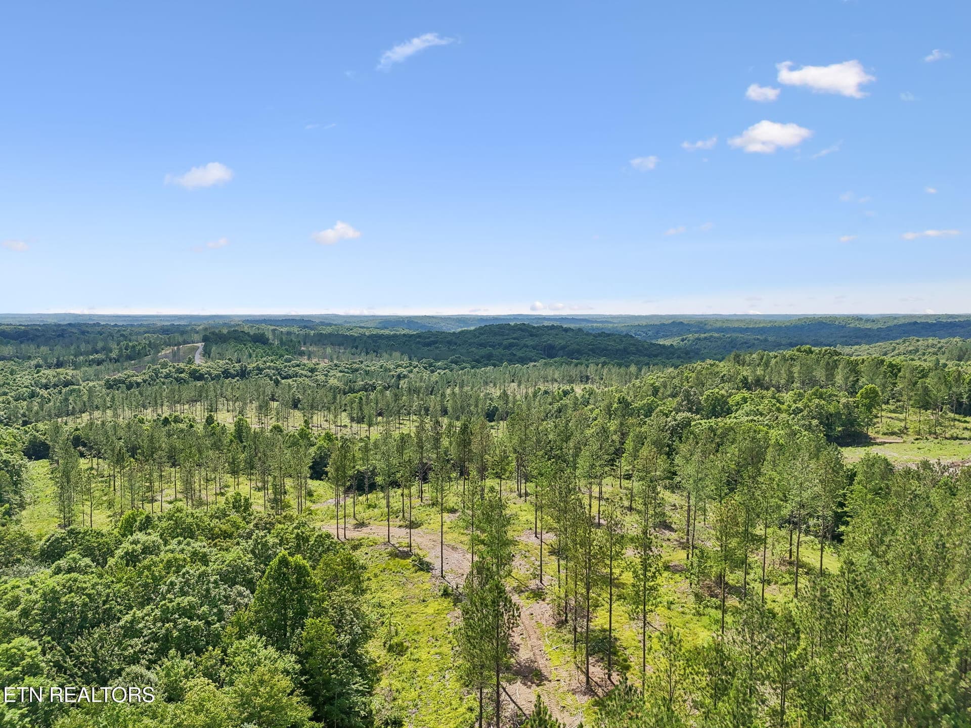 Sheep Ranch Rd 24, Robbins, TN 37852