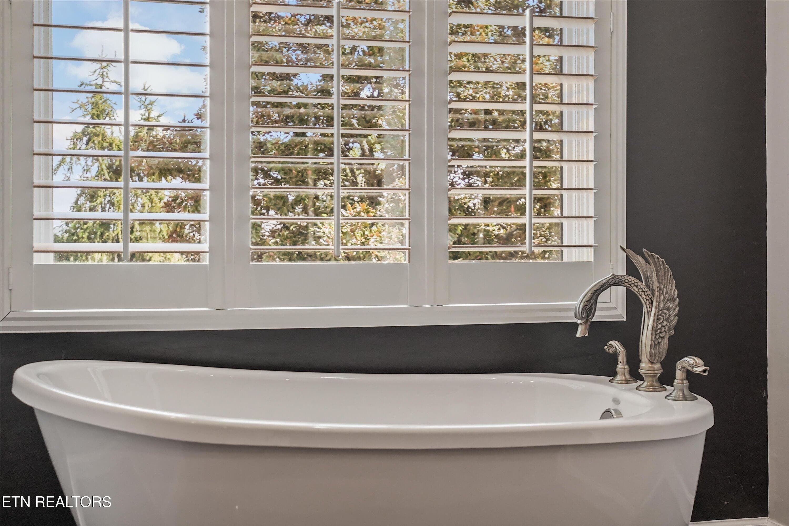 Primary Bath - 607 Cornfield Drive, White Pine, TN 37890, White Pine