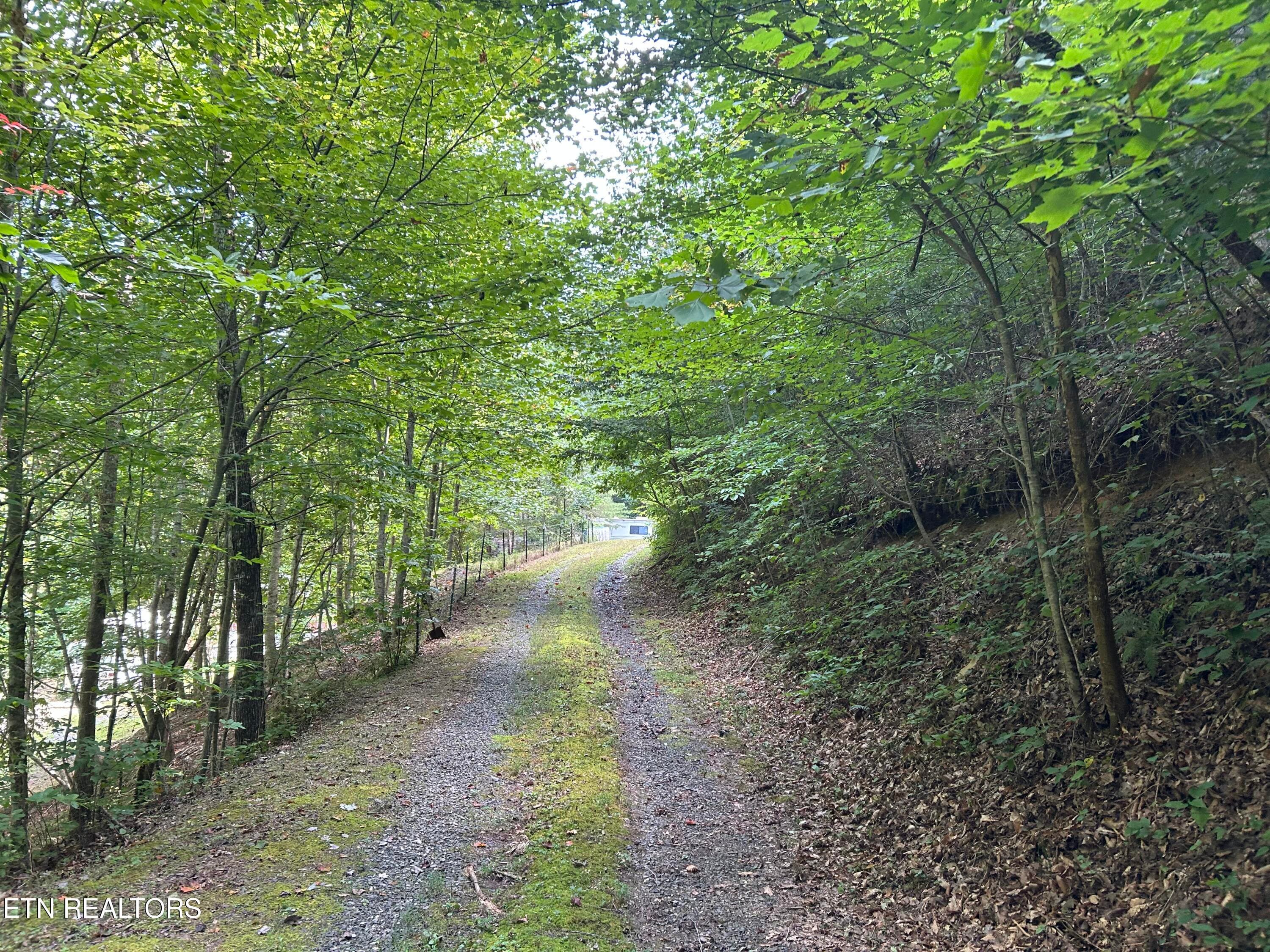 IMG_0402 - 1272 Briar Fork Rd, Bean Station, TN 37708