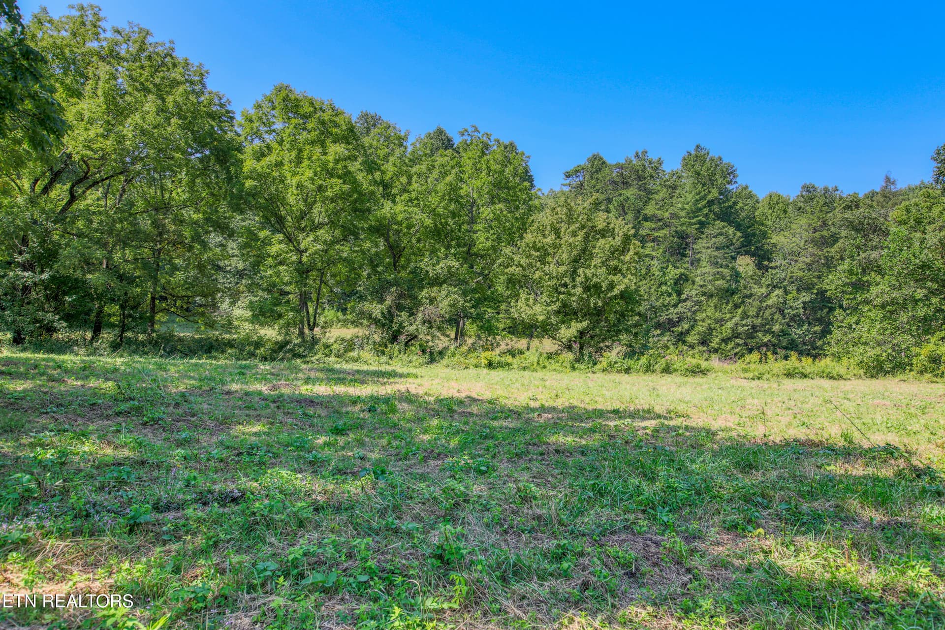 Belcher Loop, Tellico Plains, TN 37385