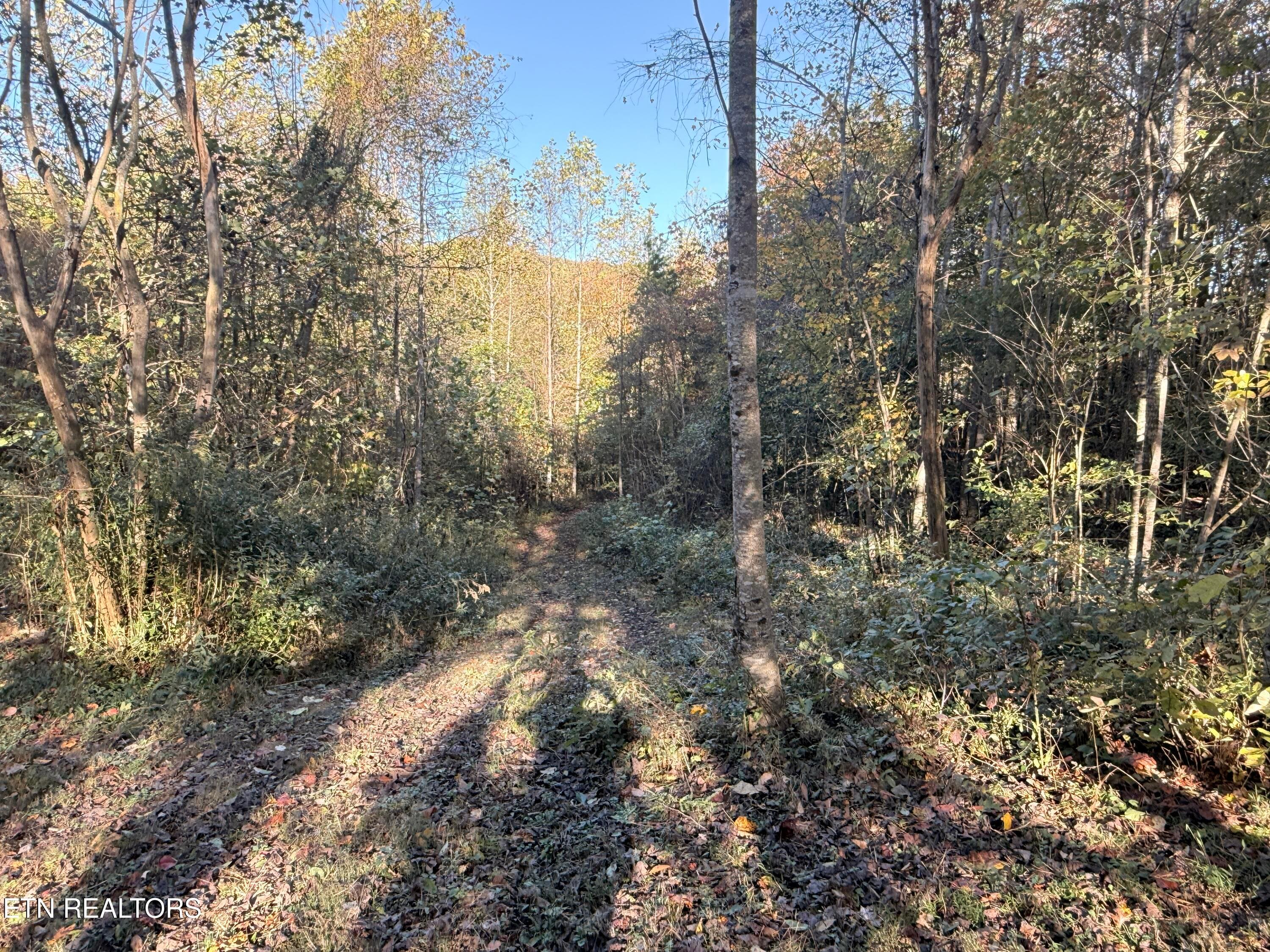 Lower Property - 444 Roses Creek Rd, Clairfield, TN 37715, Clairfield