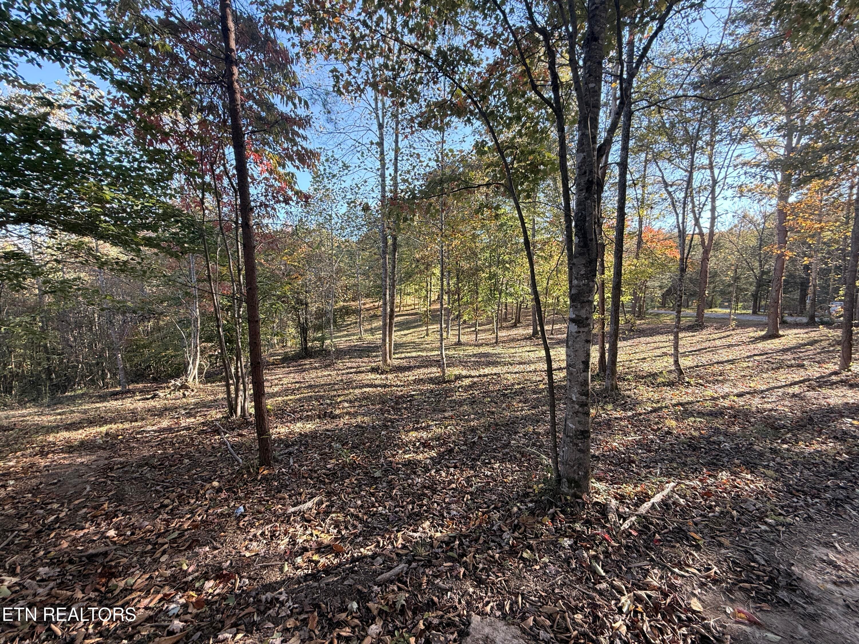 Lower Property - 444 Roses Creek Rd, Clairfield, TN 37715, Clairfield