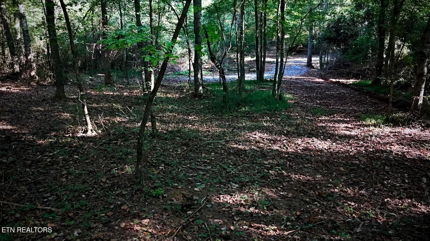 6aaafcf6f2ef2 - Lot 45 Old Mine Rd, Sweetwater, TN 37874, Sweetwater