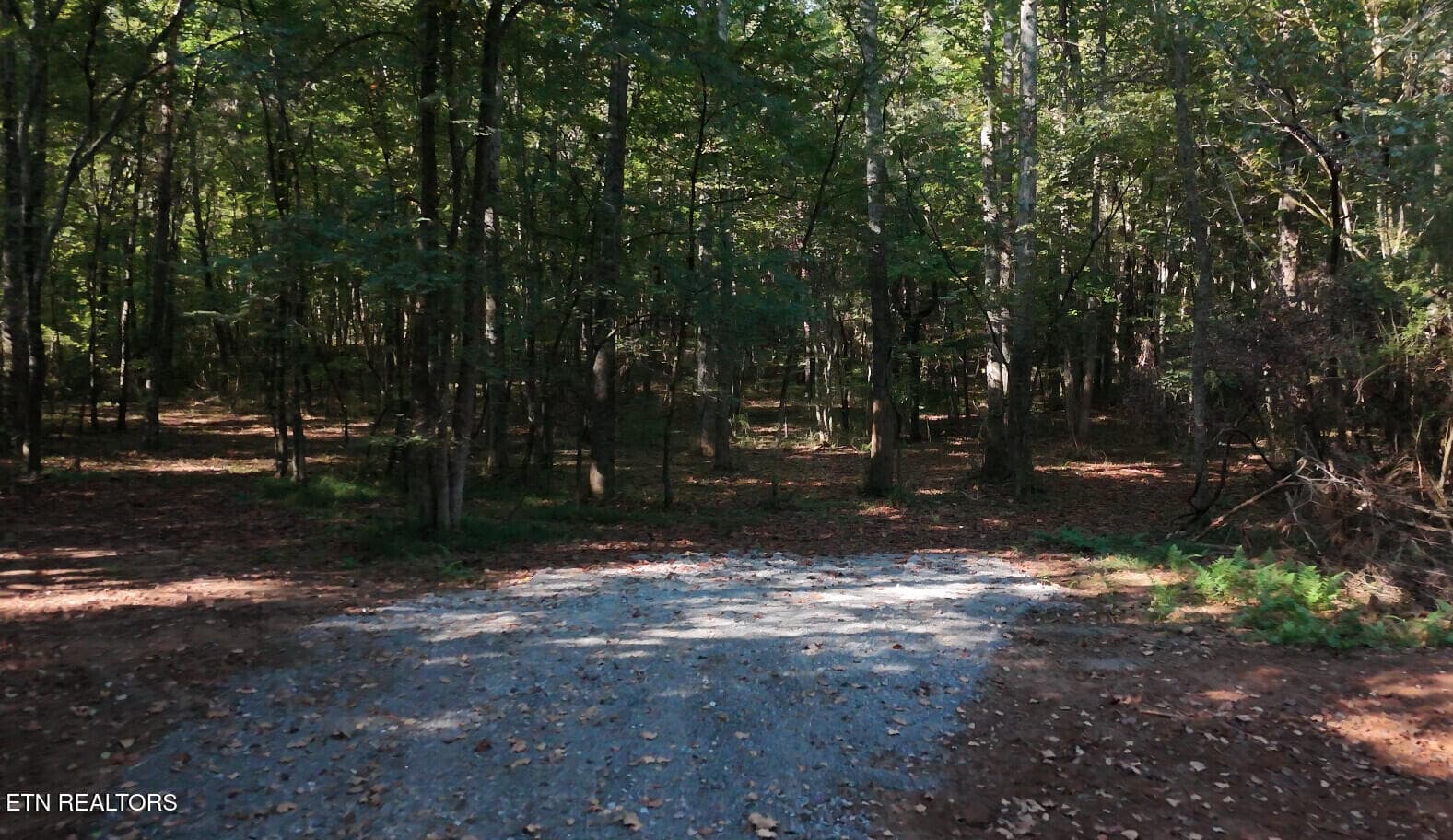 6aaafdde6bd1f - Lot 45 Old Mine Rd, Sweetwater, TN 37874, Sweetwater