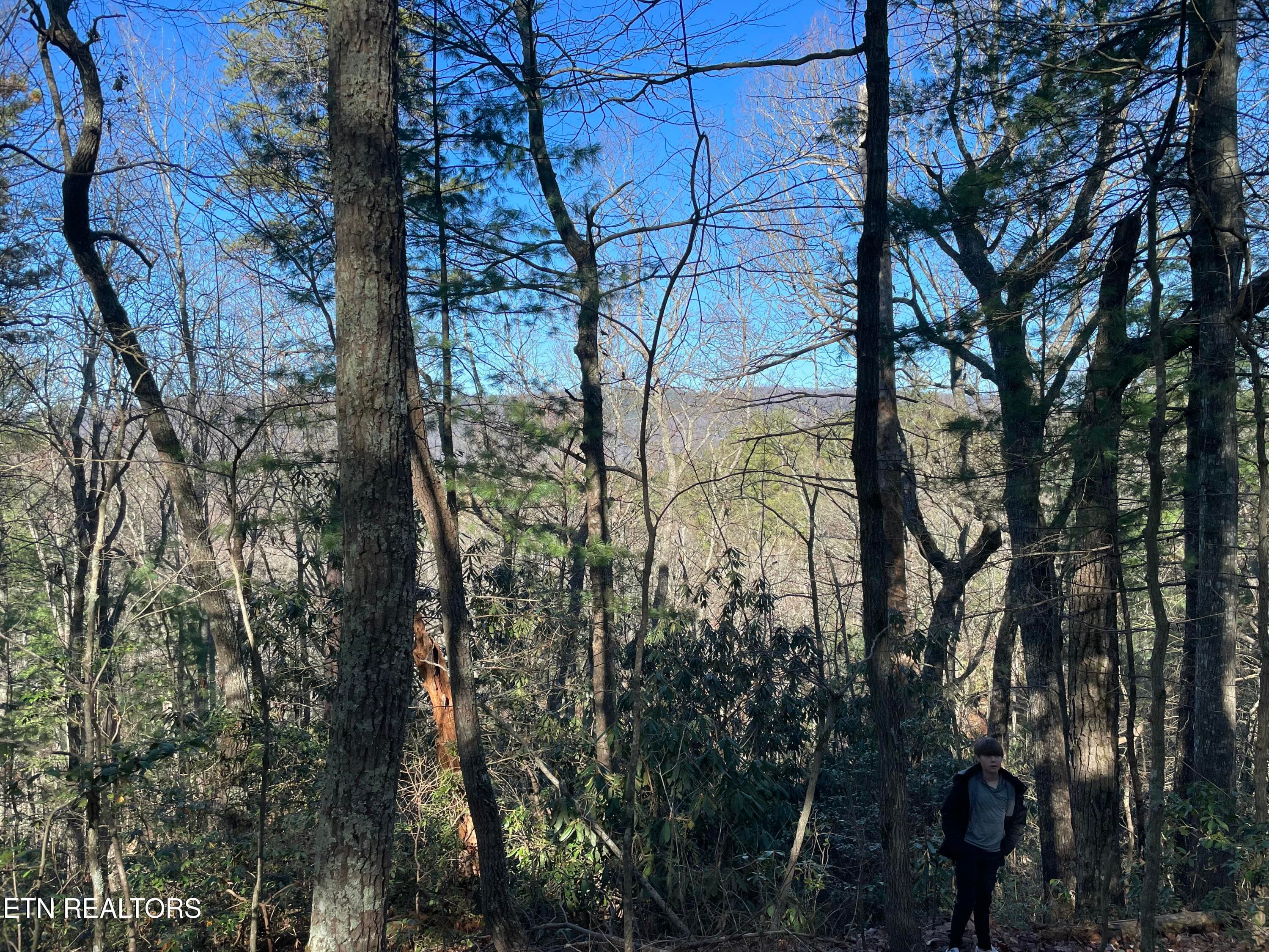IMG_4775 - TBD Walnut Flats Rd, Walland, TN 37886, Walland
